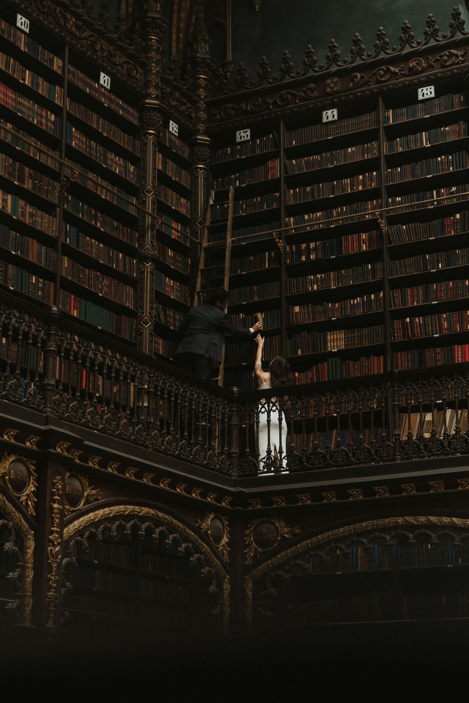 Dark gothic library interior with ornate wooden carvings and towering shelves filled with antique books and arched details.