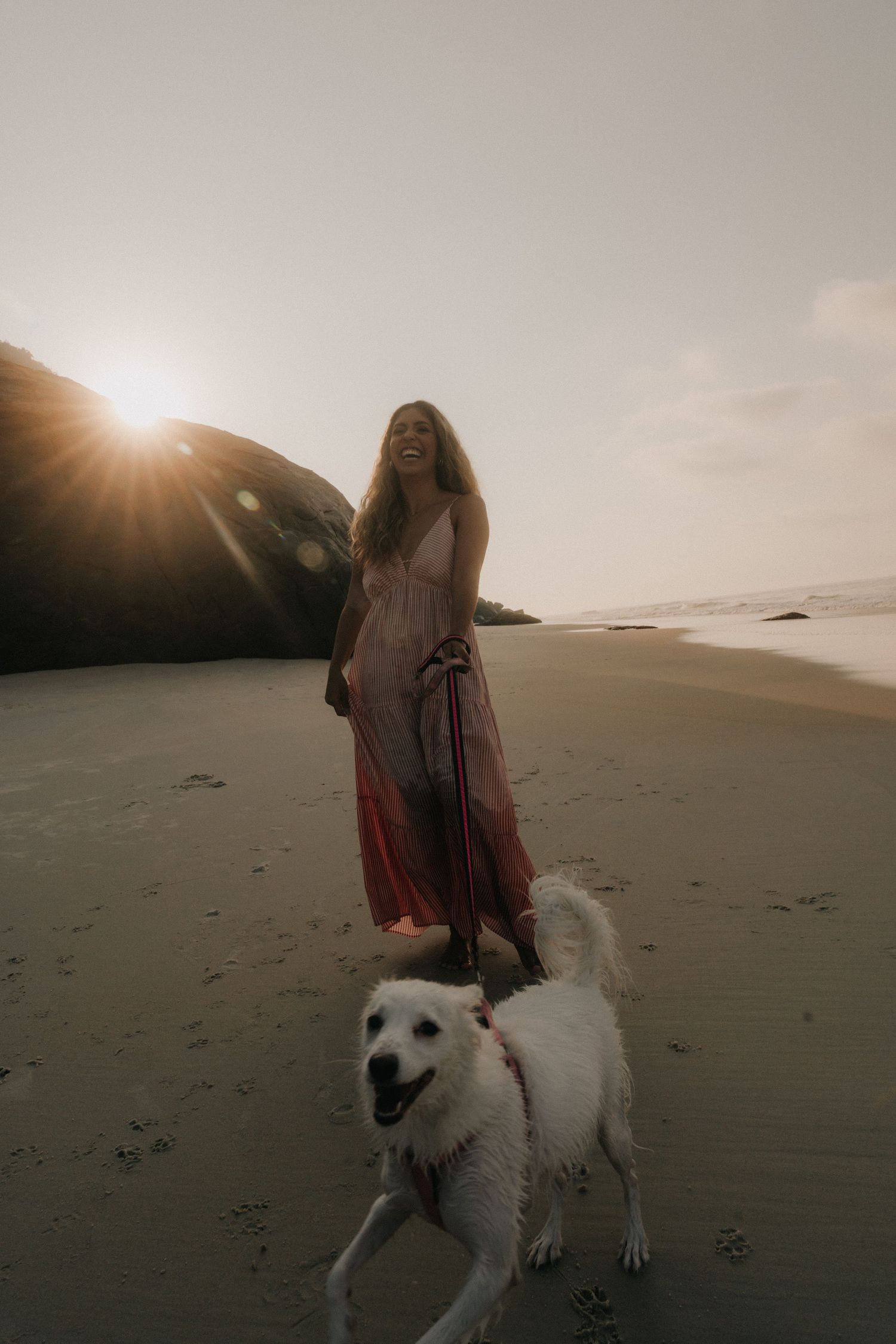 A white dog and person on a misty beach at sunset enjoying a peaceful coastal walk.