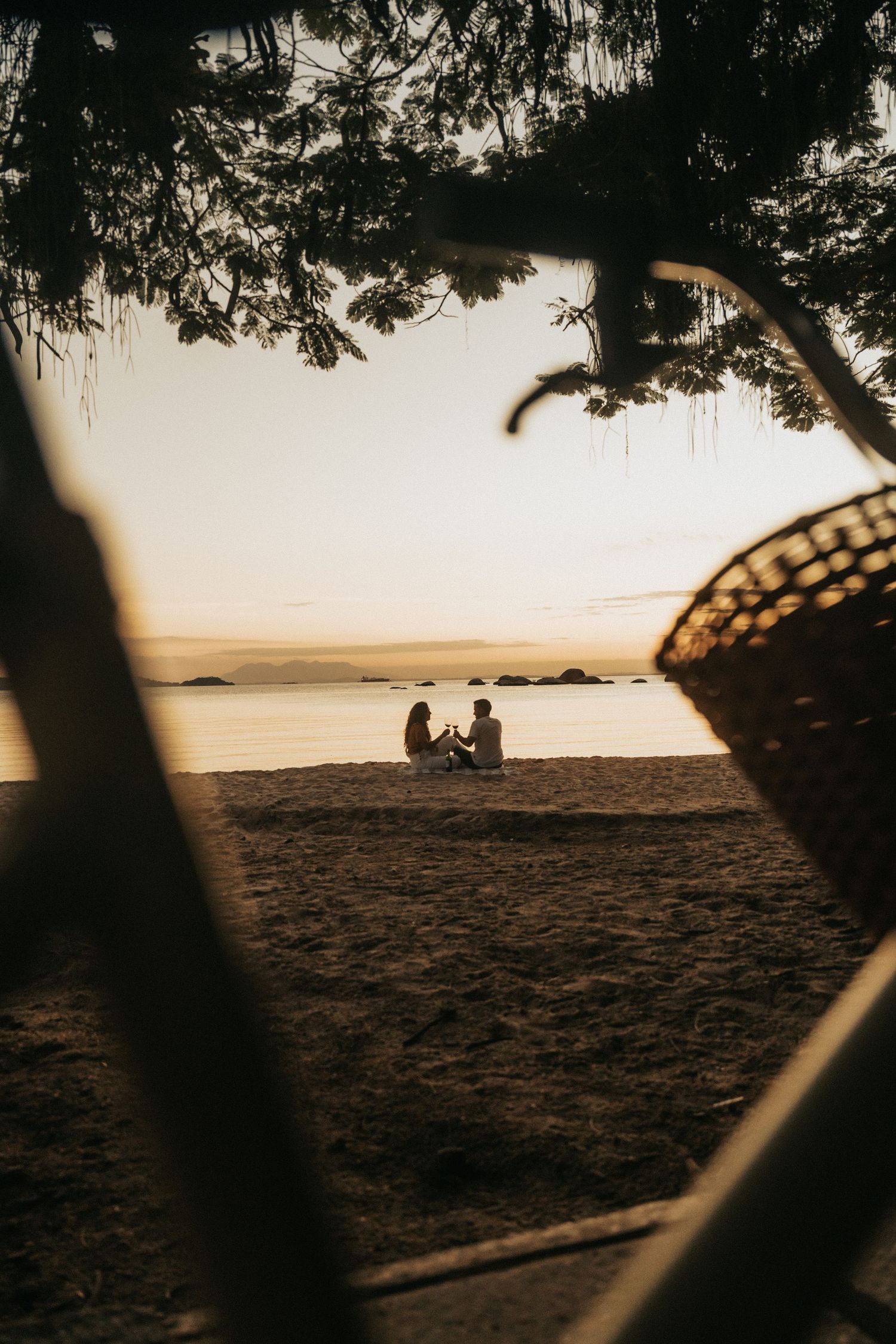 Silhouetted figures sit on a beach at sunset with tree branches framing the tranquil ocean view.