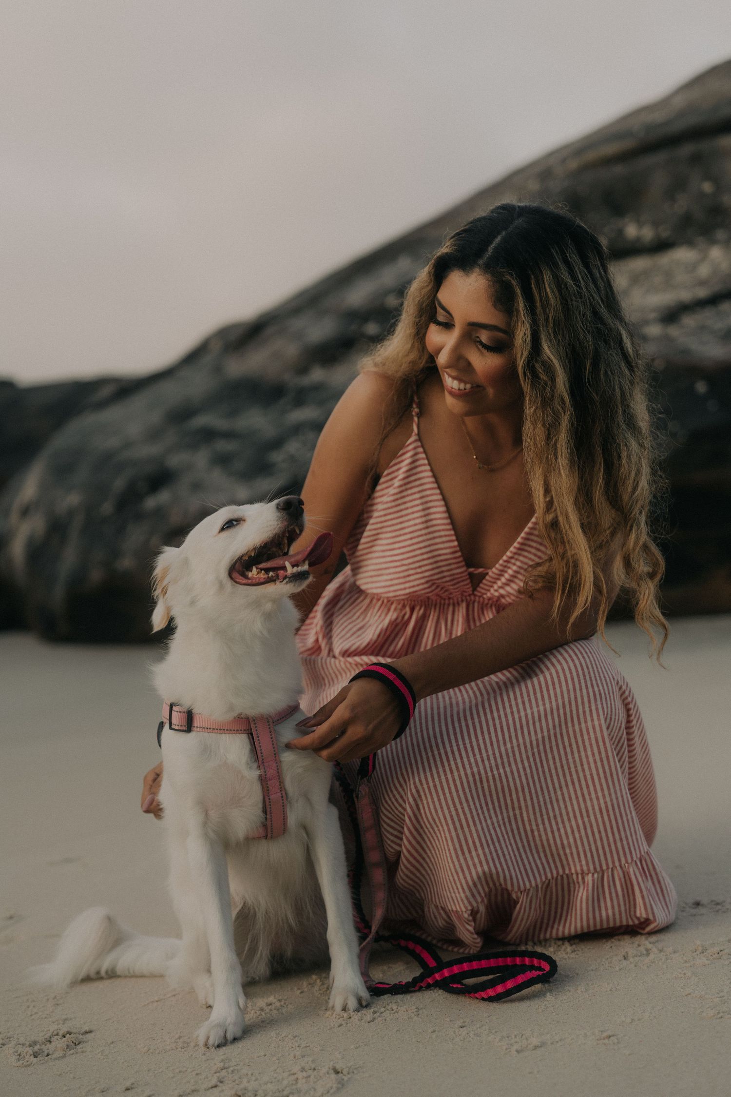 A person in a striped pink top sits on a beach with a white dog, creating a heartwarming seaside moment.