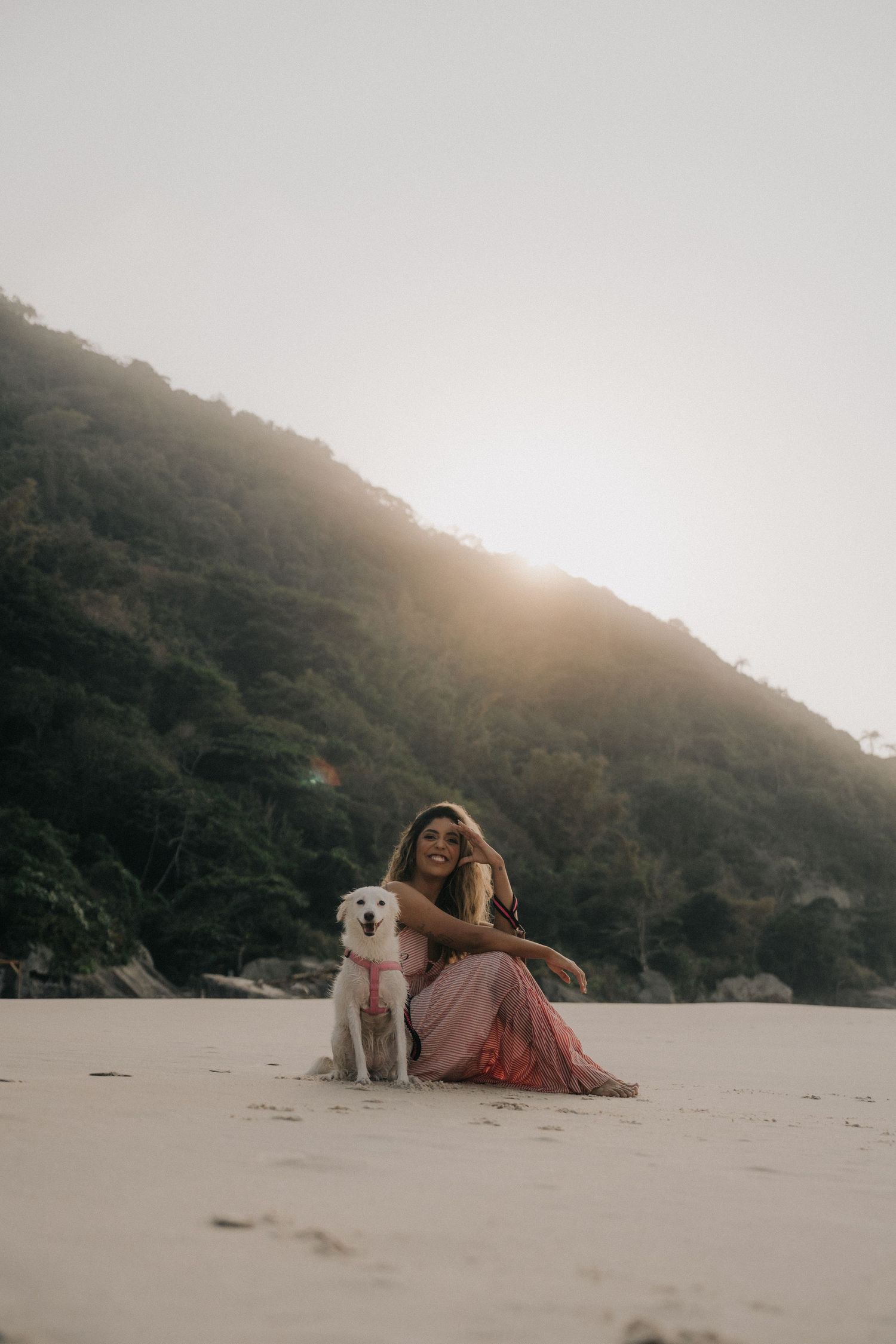A dreamy beach scene at sunset shows a figure and white dog resting on sandy shores against a mountainous backdrop.