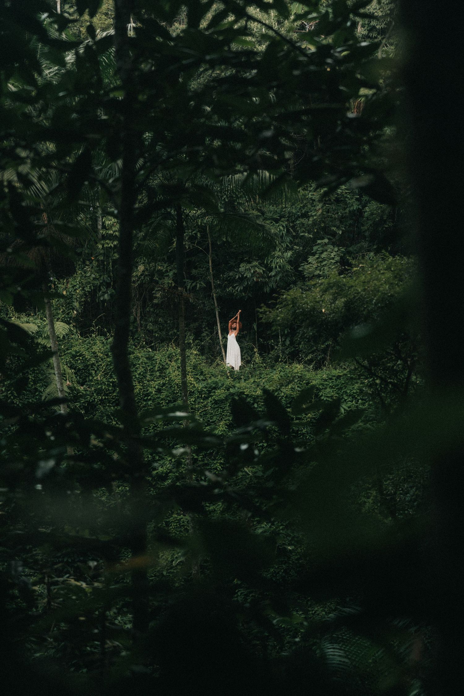 A figure leaps gracefully off a cliff into a dark lake surrounded by lush forest trees on a moody day.