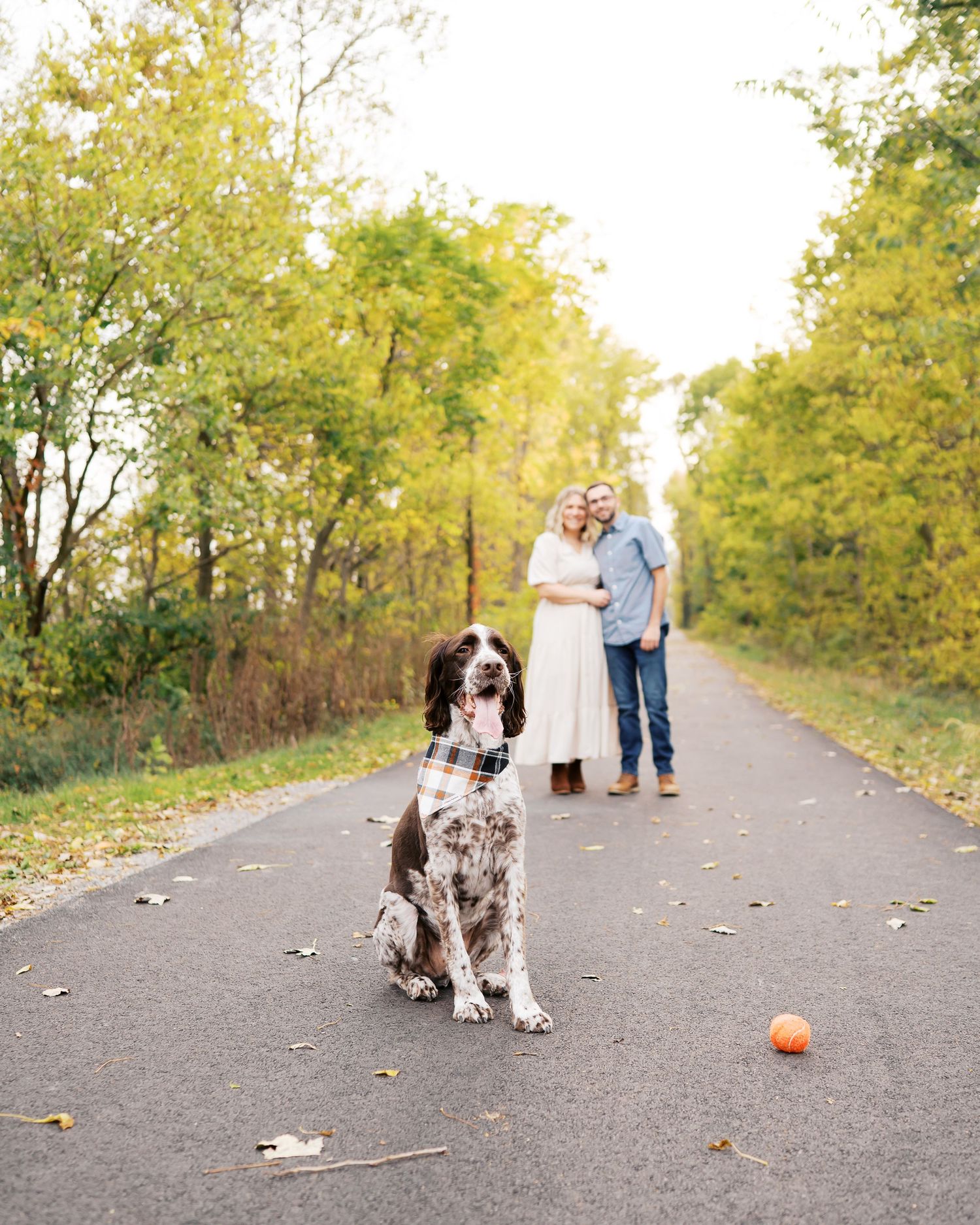 A couple stands behind their spotted dog on an autumn trail lined with golden trees.
