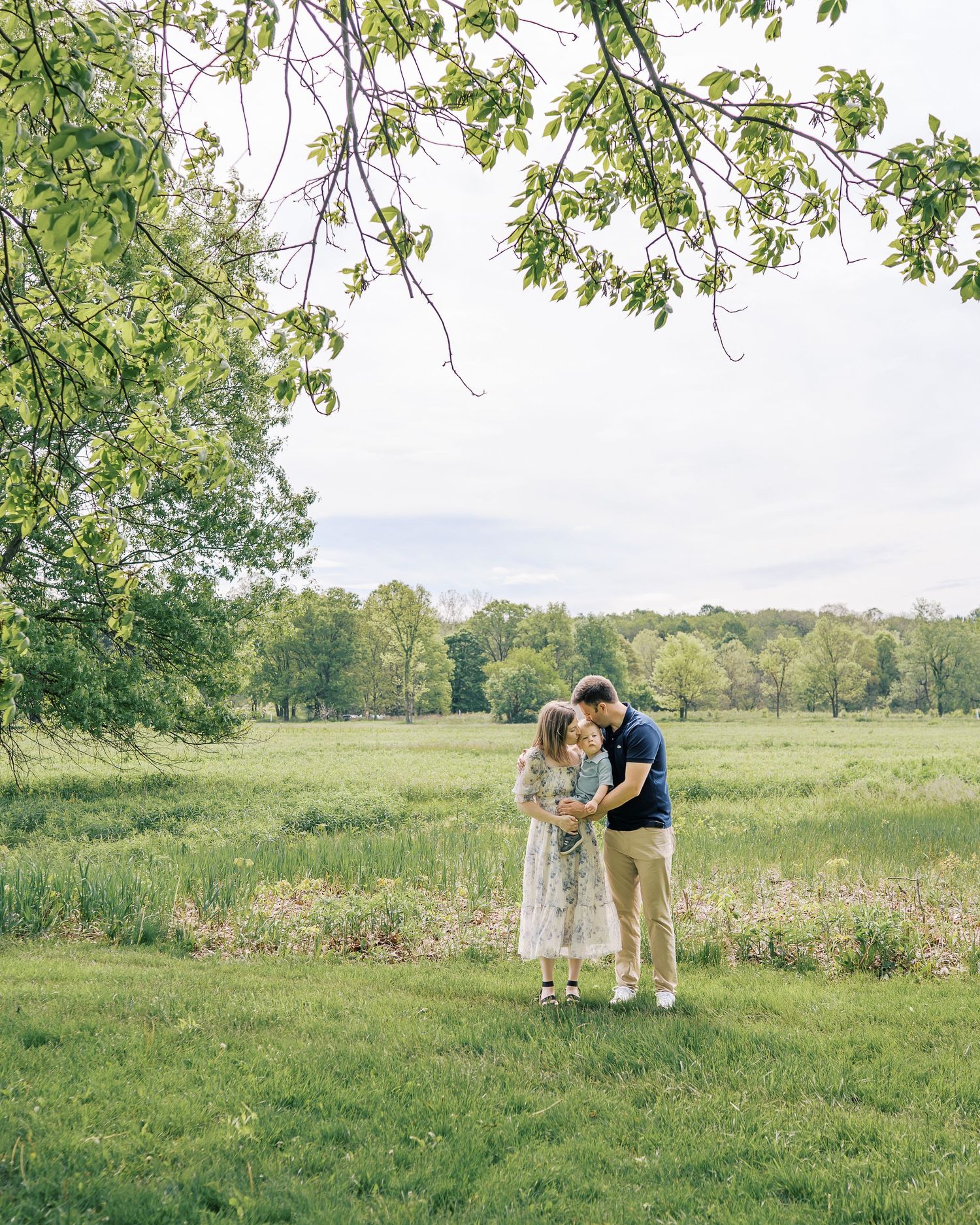 Pastoral scene with figures enjoying a sunny day in a sprawling green meadow under tree branches.