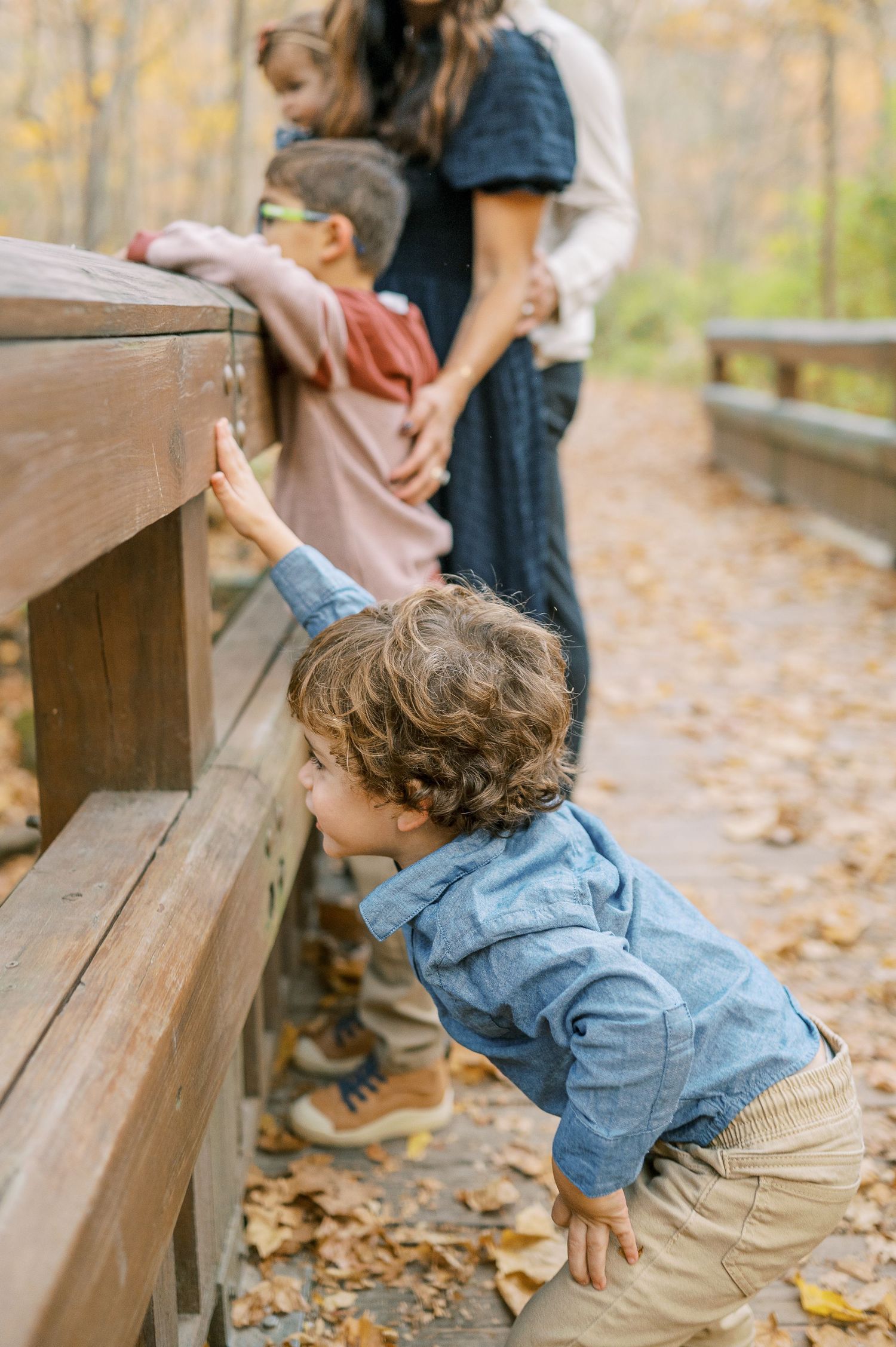Young child peering through wooden railings of a boardwalk covered in autumn leaves.