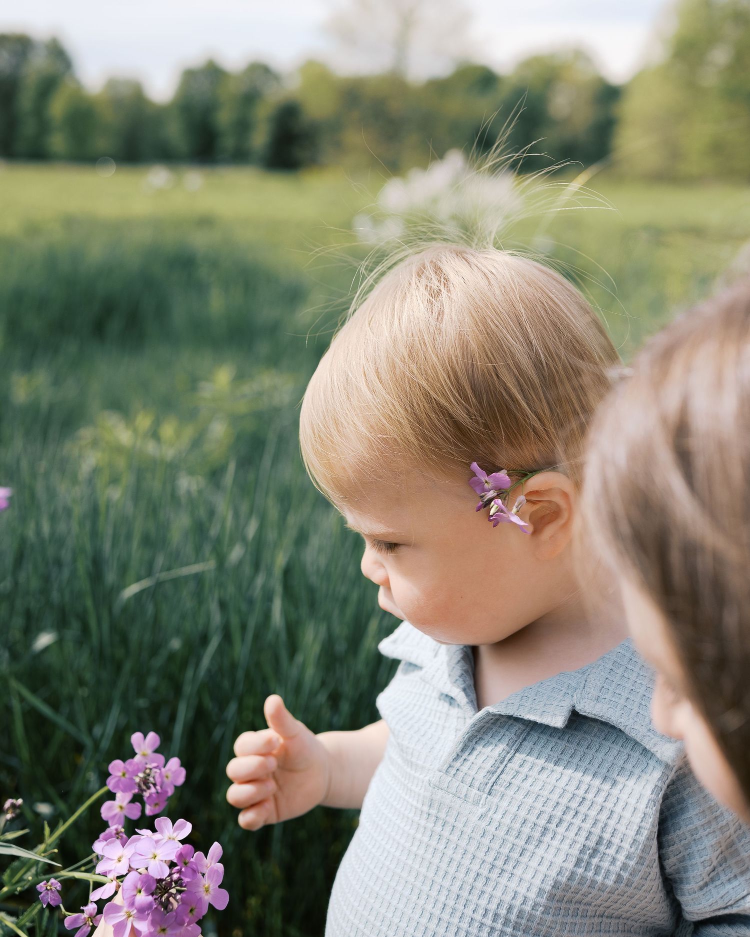 Young child wearing blue shirt exploring purple flowers in a summer garden.