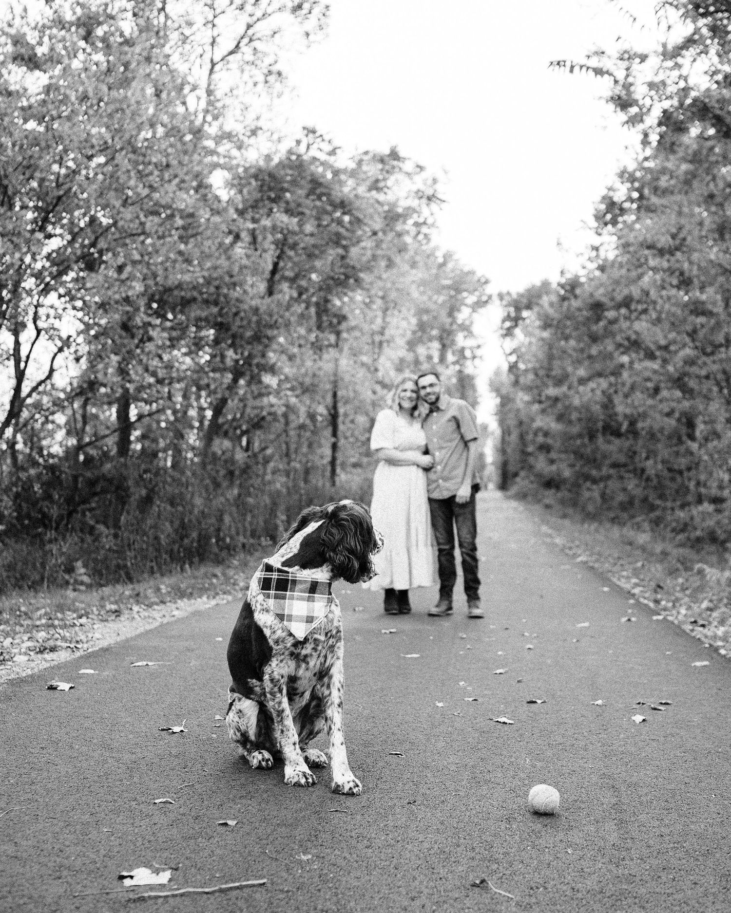 Black and white photos of a couple walking their dog along a tree-lined path in autumn.