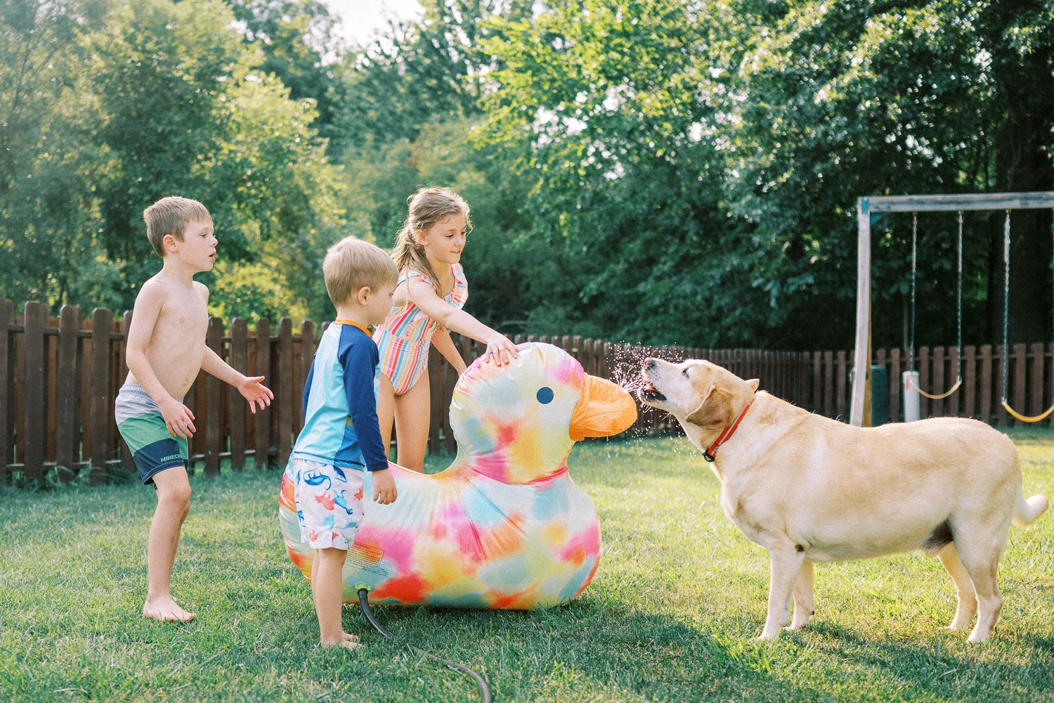 Children and a dog playing with colorful water balloons in a backyard.