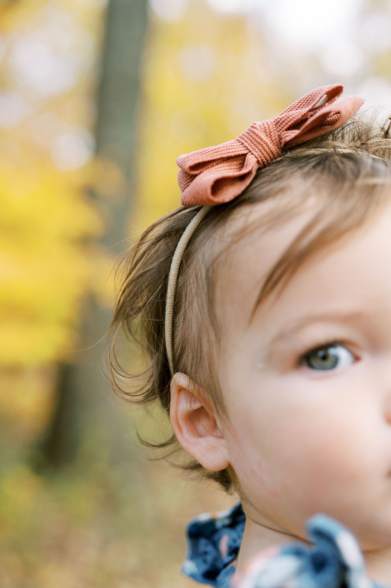 Close up detail of coral bow accessory against autumn forest background.