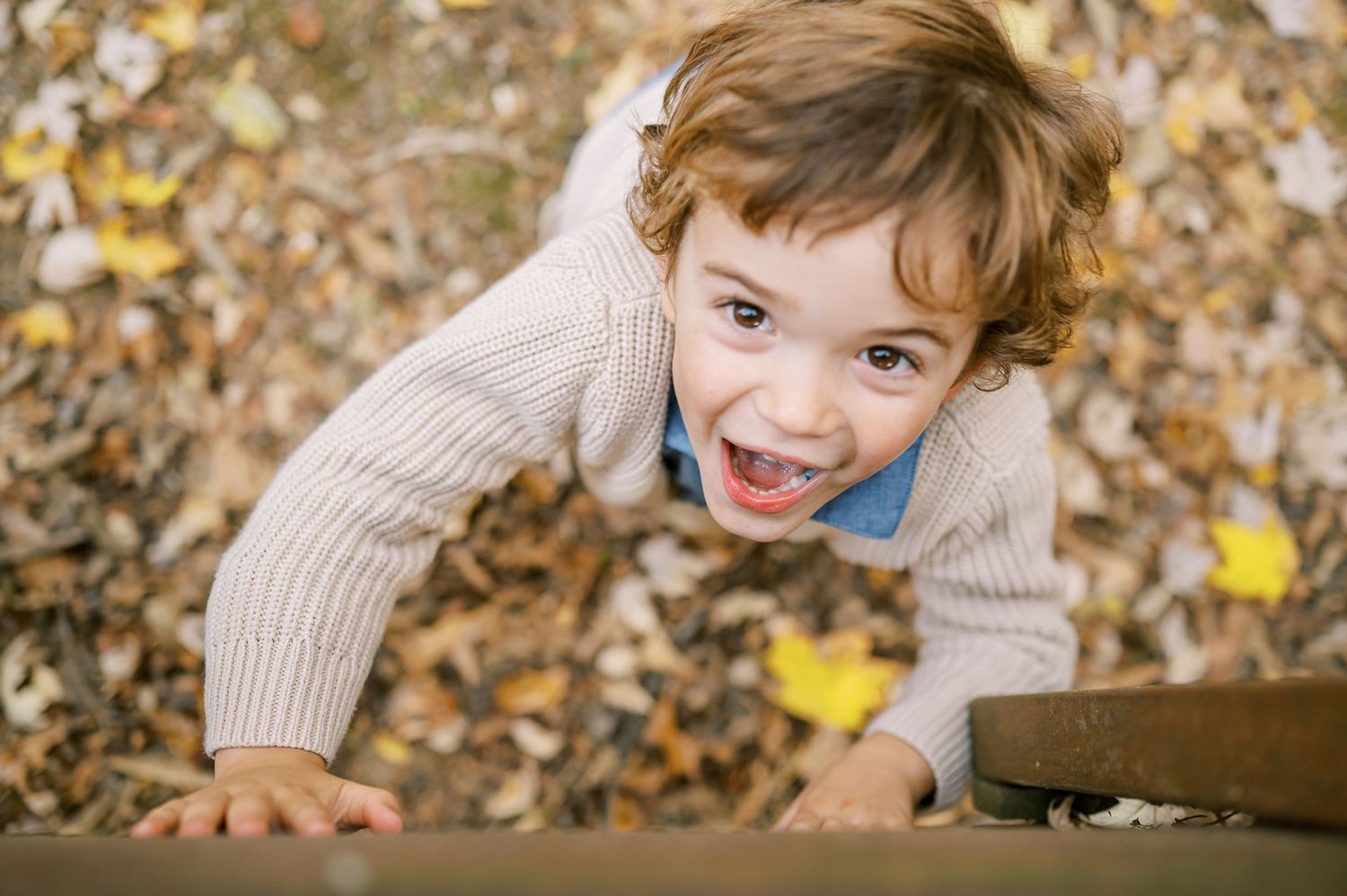Child climbing on wooden structure with excited expression in autumn setting.