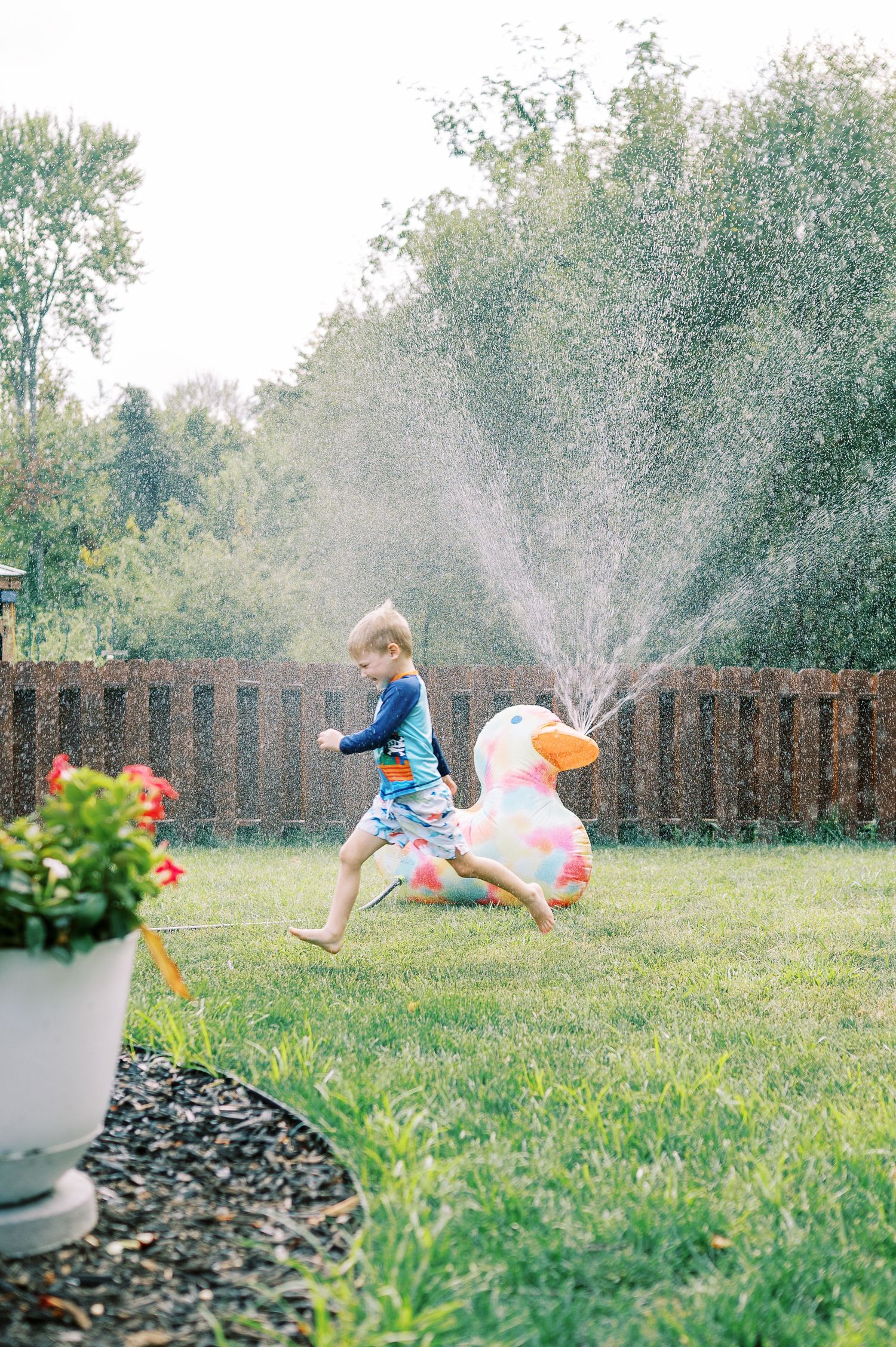 Children running through sprinkler water on green summer lawn.