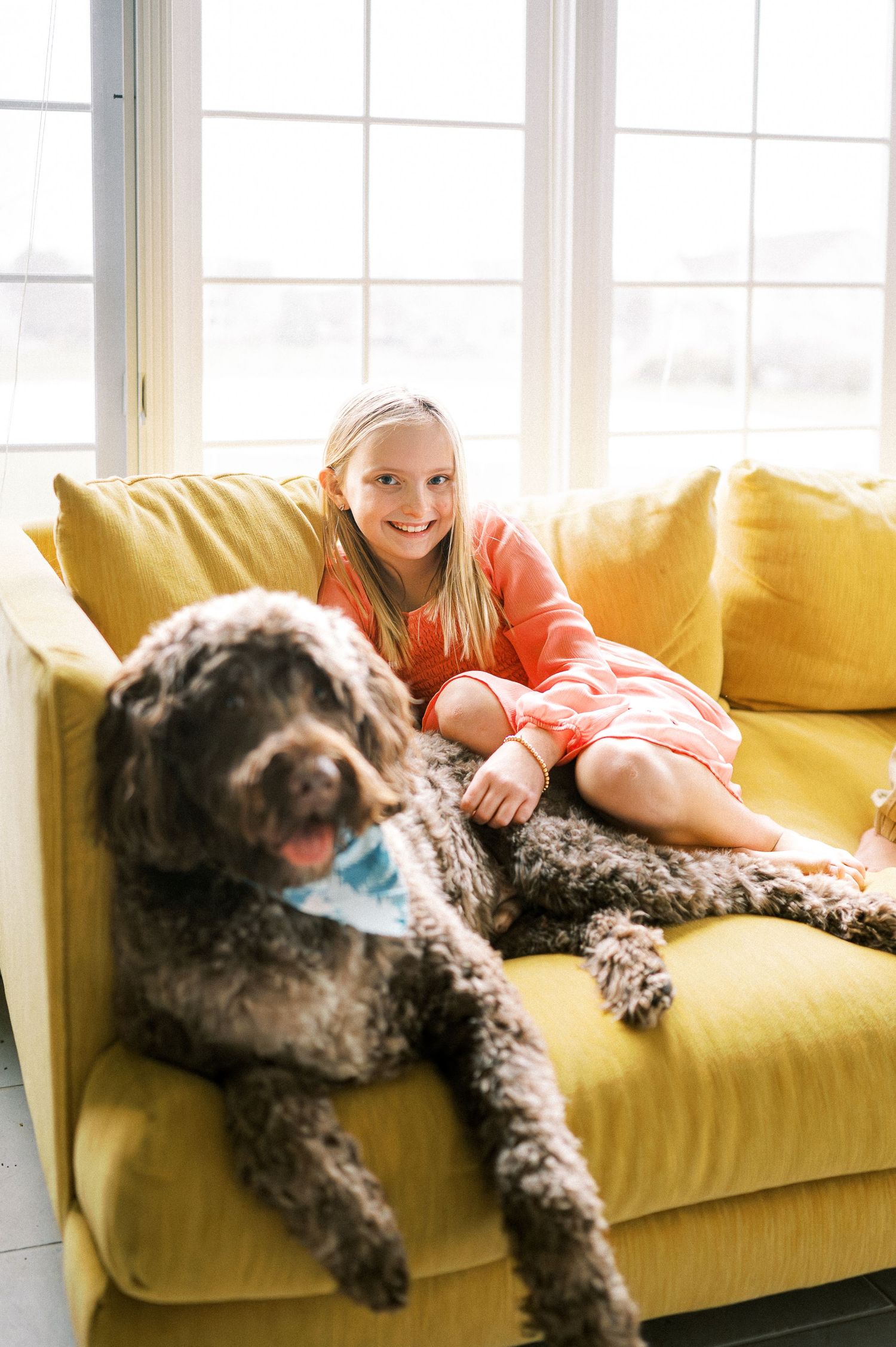 A large shaggy dog lounges on a bright yellow couch while being petted.