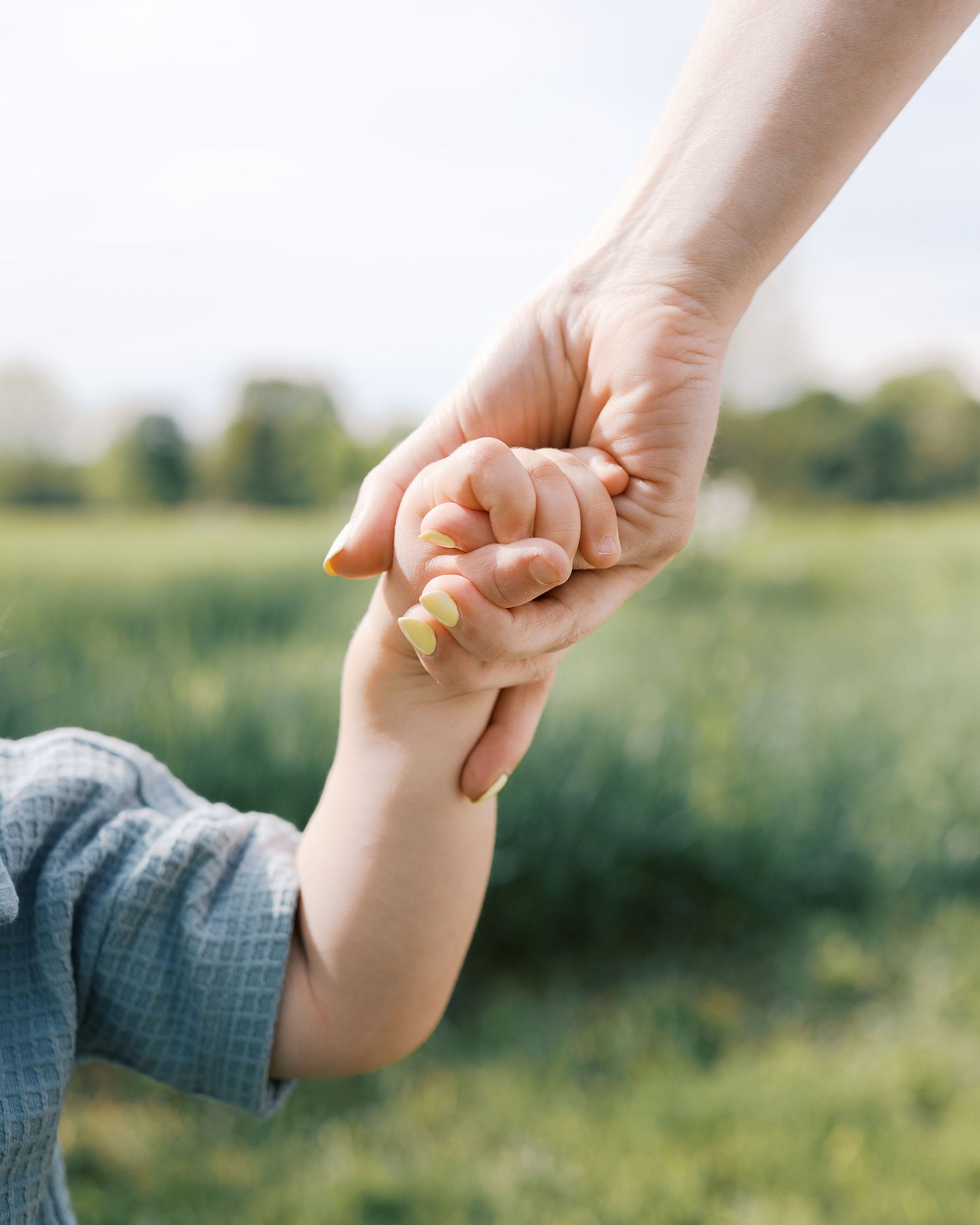 Close-up of parent and child holding hands while walking in green summer field.