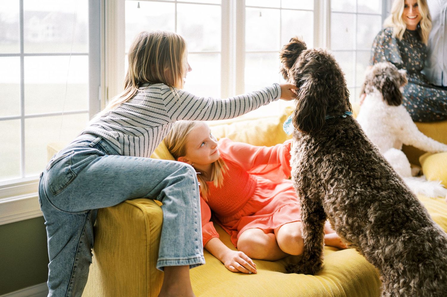 A playful family scene with jumping and snuggling on a yellow couch in a sunlit room with green walls.