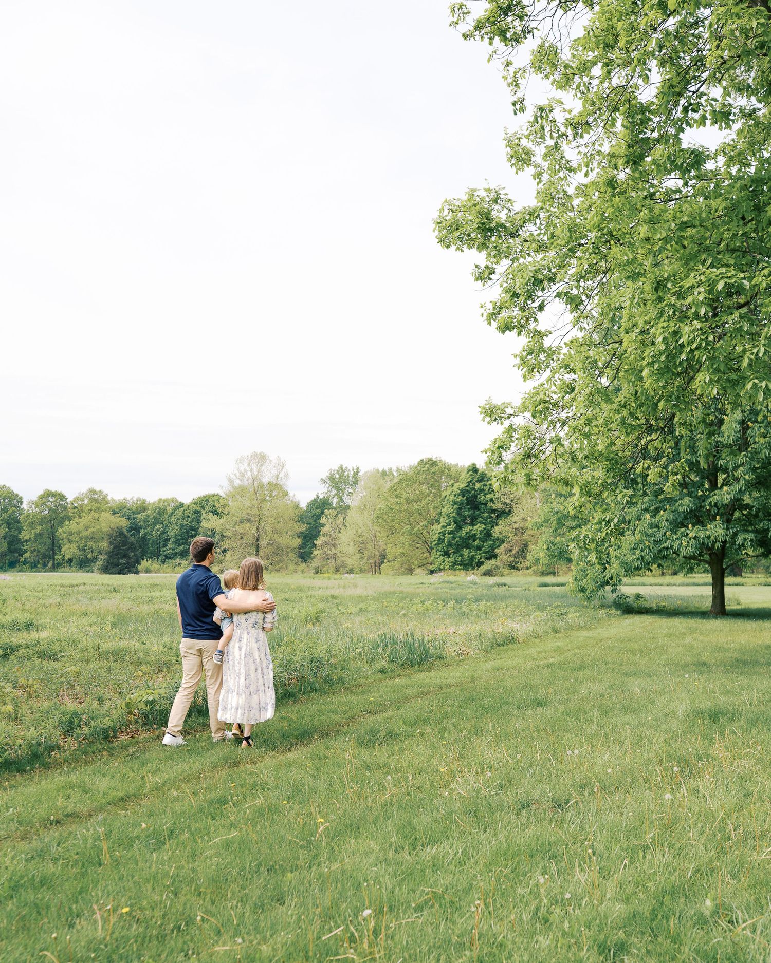 Lush green meadow with scattered trees and figures in the distance on a sunny day.