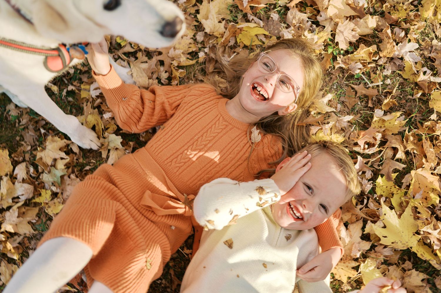 Candid moments of joy captured while laying in fallen autumn leaves during golden hour.