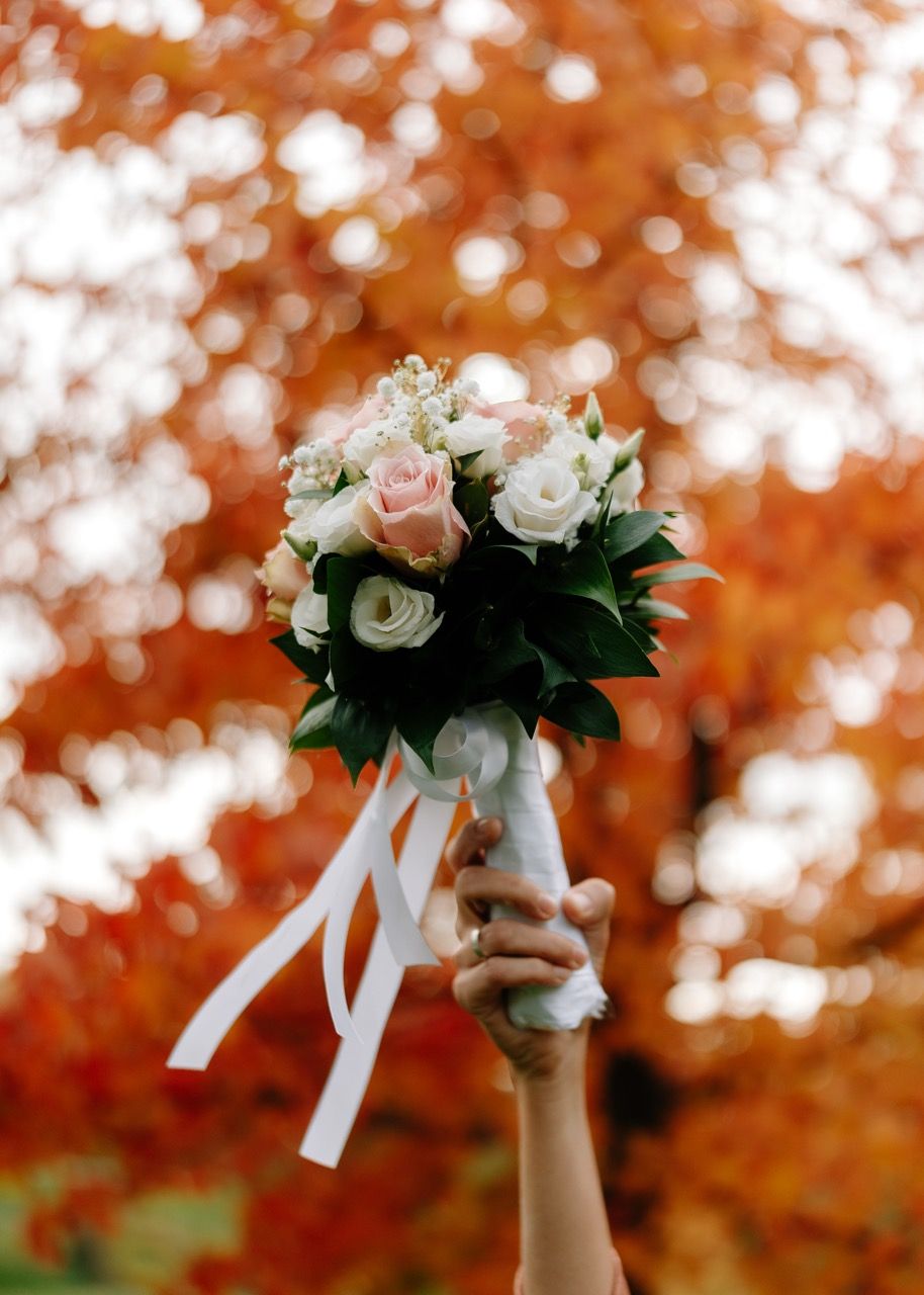 Vencanje
Wedding
Vencanje Beograd
Fotograf za vencanja
Fotograf Beograd
Fotograf Srbija