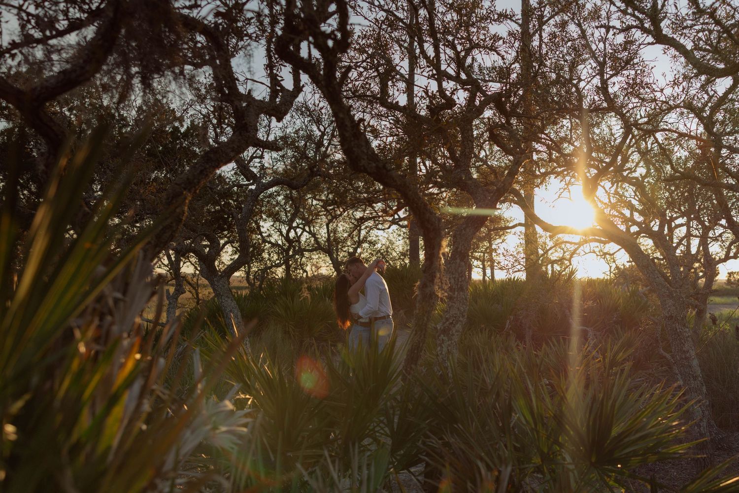 Person standing among sun-drenched coastal scrub trees and palmetto plants in golden hour light.