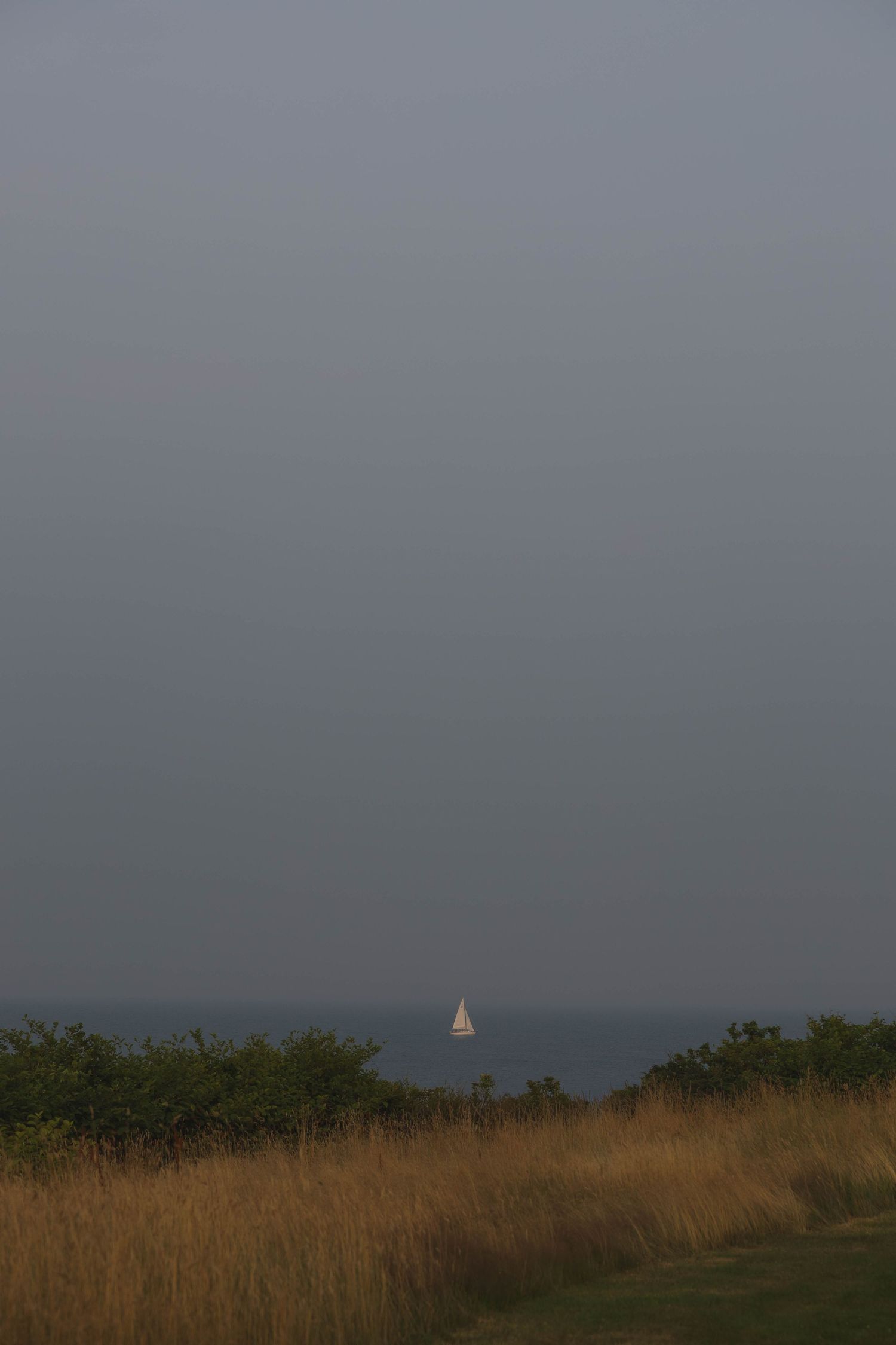A lone white sailboat glides across a calm ocean under a gray overcast sky with golden coastal grass in foreground.