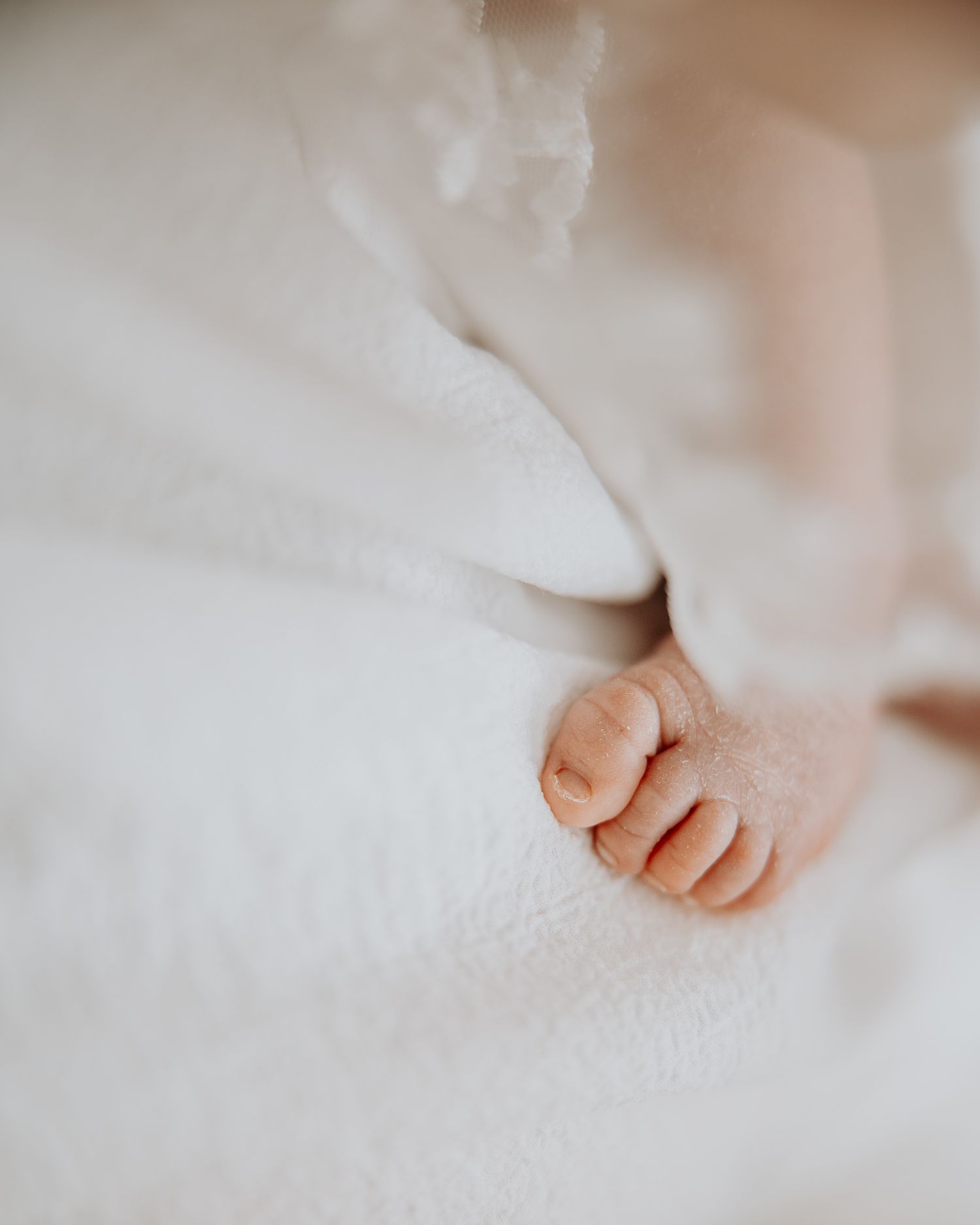 Close-up of tiny newborn baby toes peeking out from soft white blanket, delicate infant feet photography.
