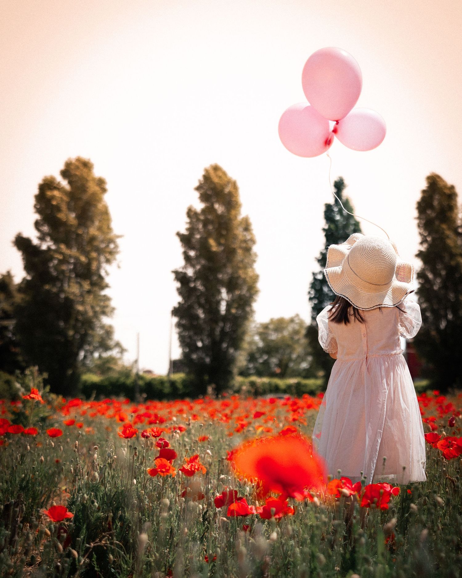 Pink balloons float among red poppies in field at sunset.