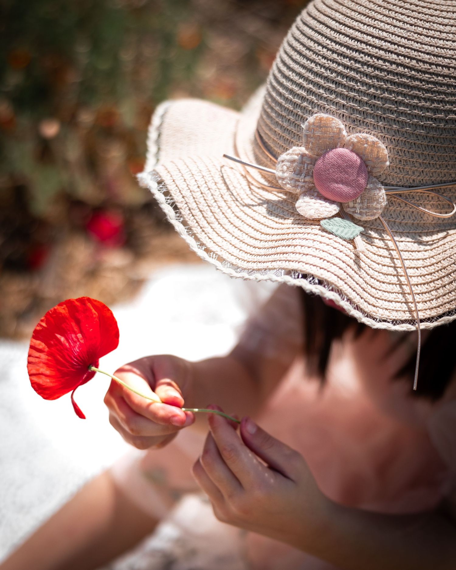 Person wearing straw hat examining red poppy flowers in sunlit field.