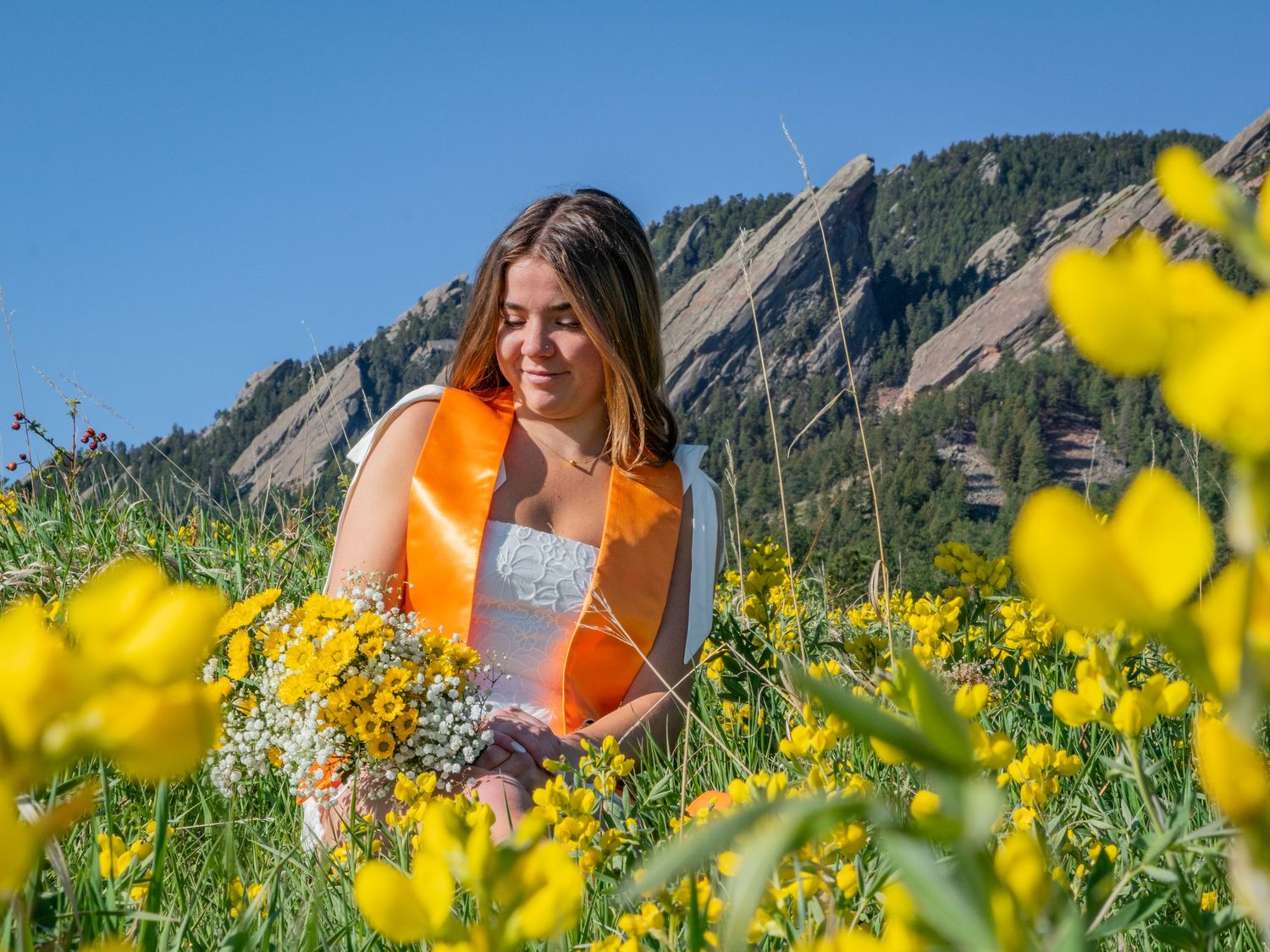 Yellow wildflowers blooming in a mountain meadow with rocky peaks visible in the background.