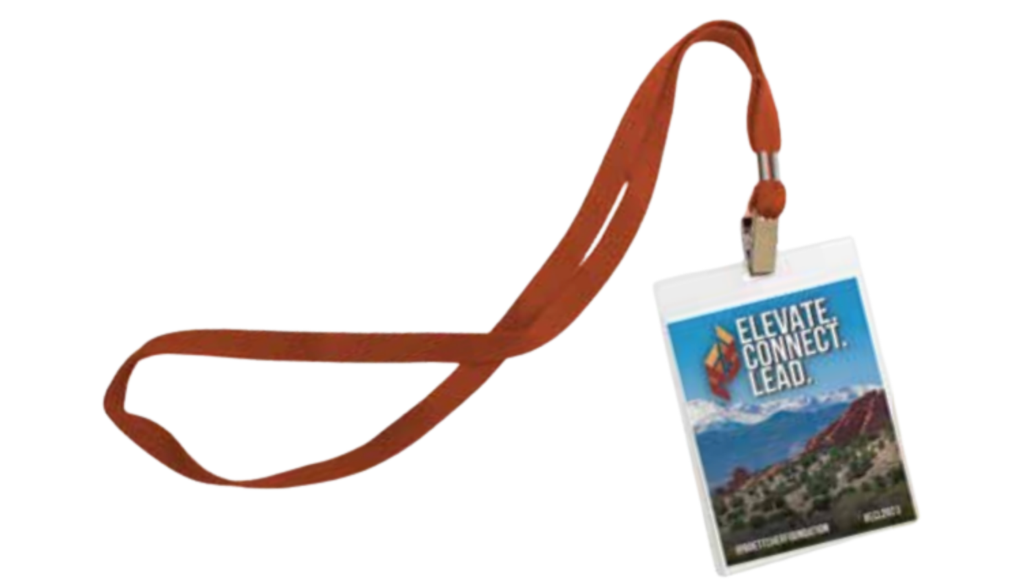 A brown leather leash with a metal clasp and handle lies coiled in a spiral shape on a white surface.