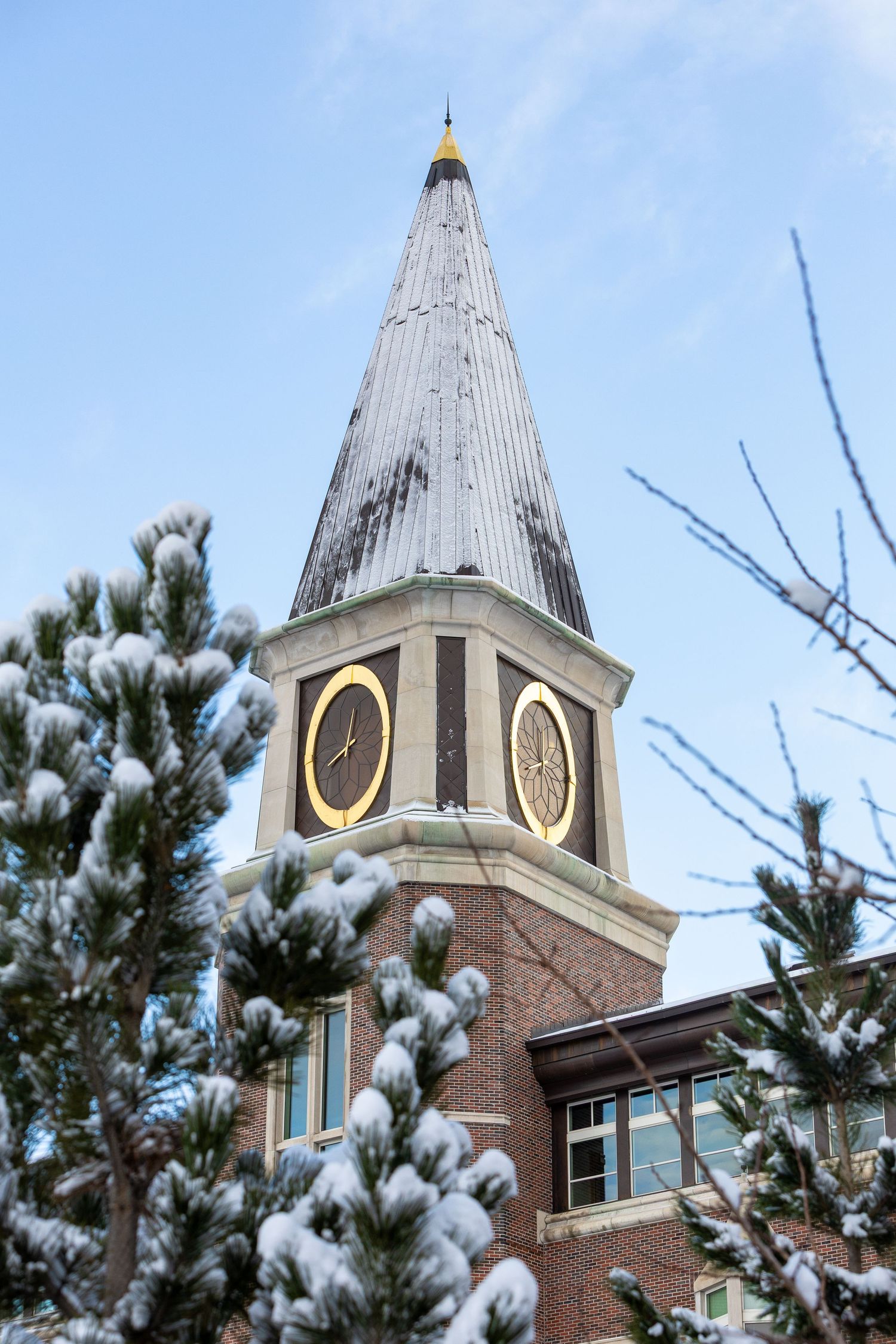 Snow-dusted clock tower with golden clocks rises above frost-covered pine trees against a blue winter sky.