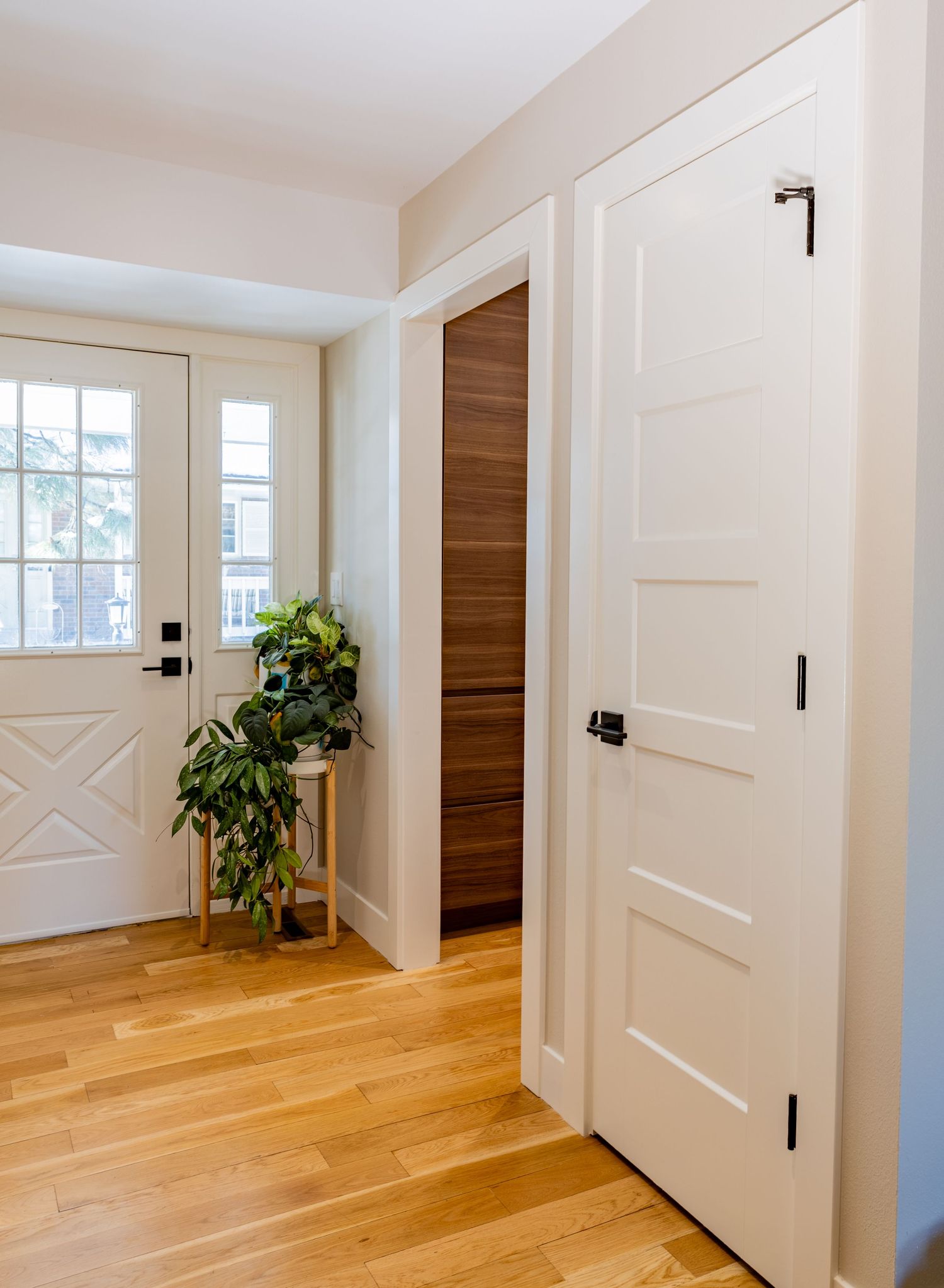 Modern interior hallway with white walls, hardwood flooring, wooden accent doors and potted plants for decoration.