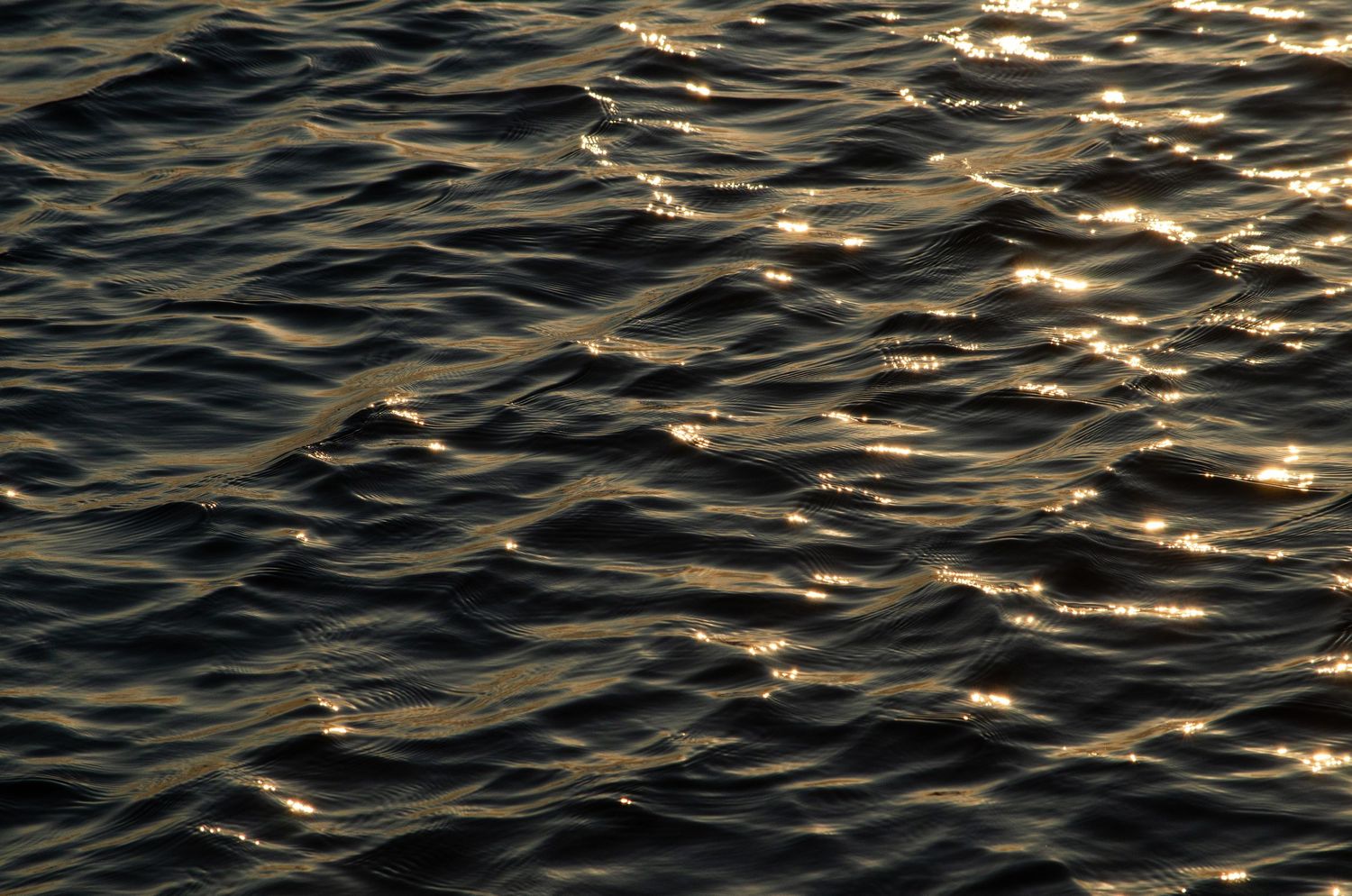 Golden sunlight reflects off rippling ocean water creating a shimmering pattern of waves and light.