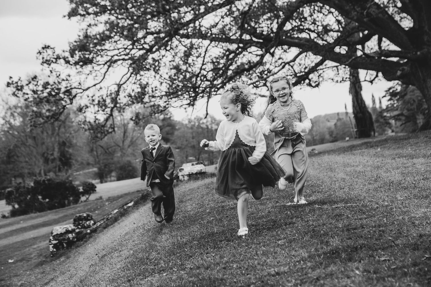 Black and white photographs show people enjoying a sunny day on a grassy hillside setting.