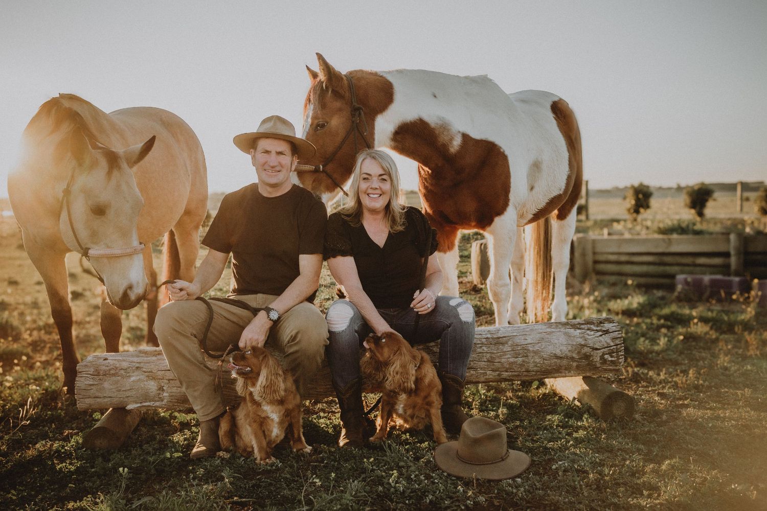 Couple sitting on a log with two dogs and horses on a farm at golden hour sunset.