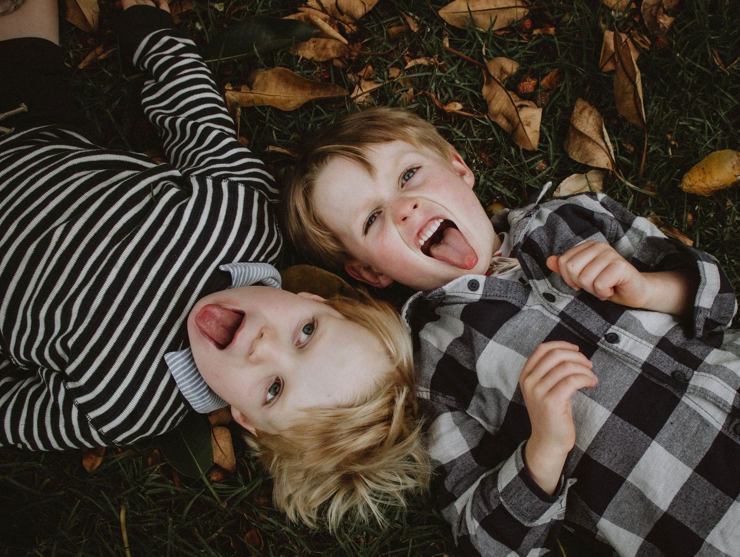 Two young boys lying in autumn leaves sticking out tongues in playful outdoor portrait.