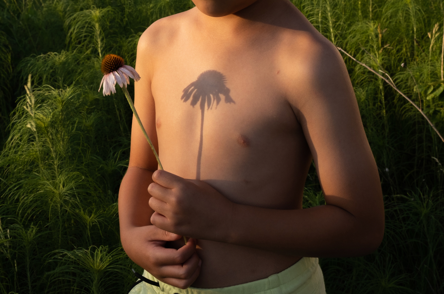 Shirtless person with a palm tree tattoo on their back stands in lush green foliage on a sunny day.