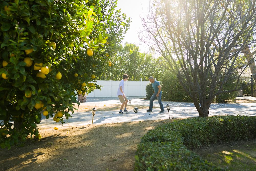 Two people skateboarding in a sunny garden with lemon tree and green shrubs on a bright day.