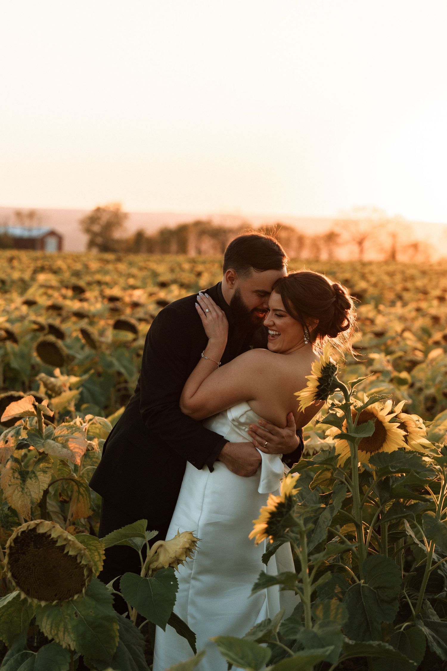 Romantic couple embraces in a golden sunflower field at sunset creating a dreamy wedding photo sequence.