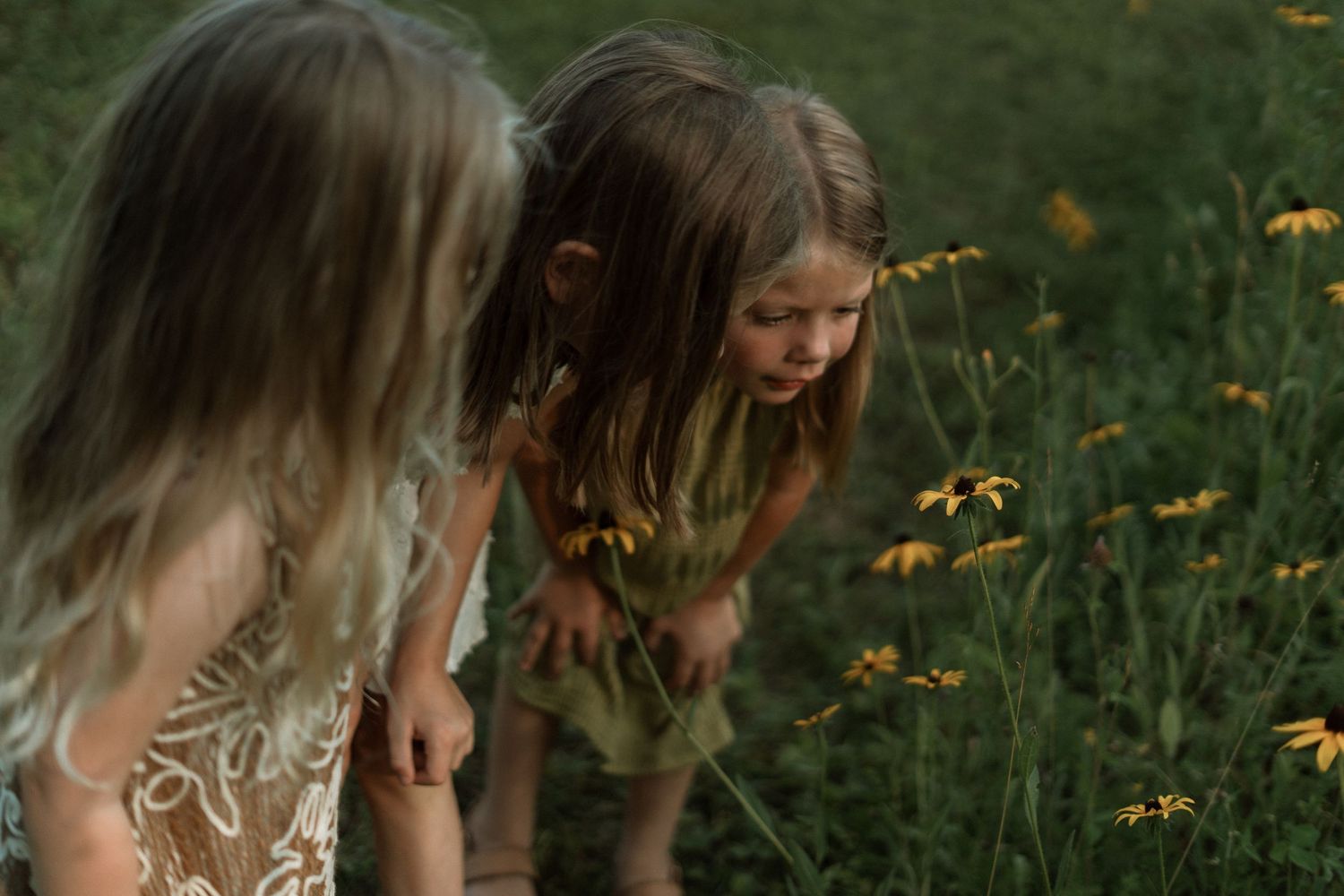 Three young girls with long blonde hair explore yellow wildflowers in a lush green meadow.