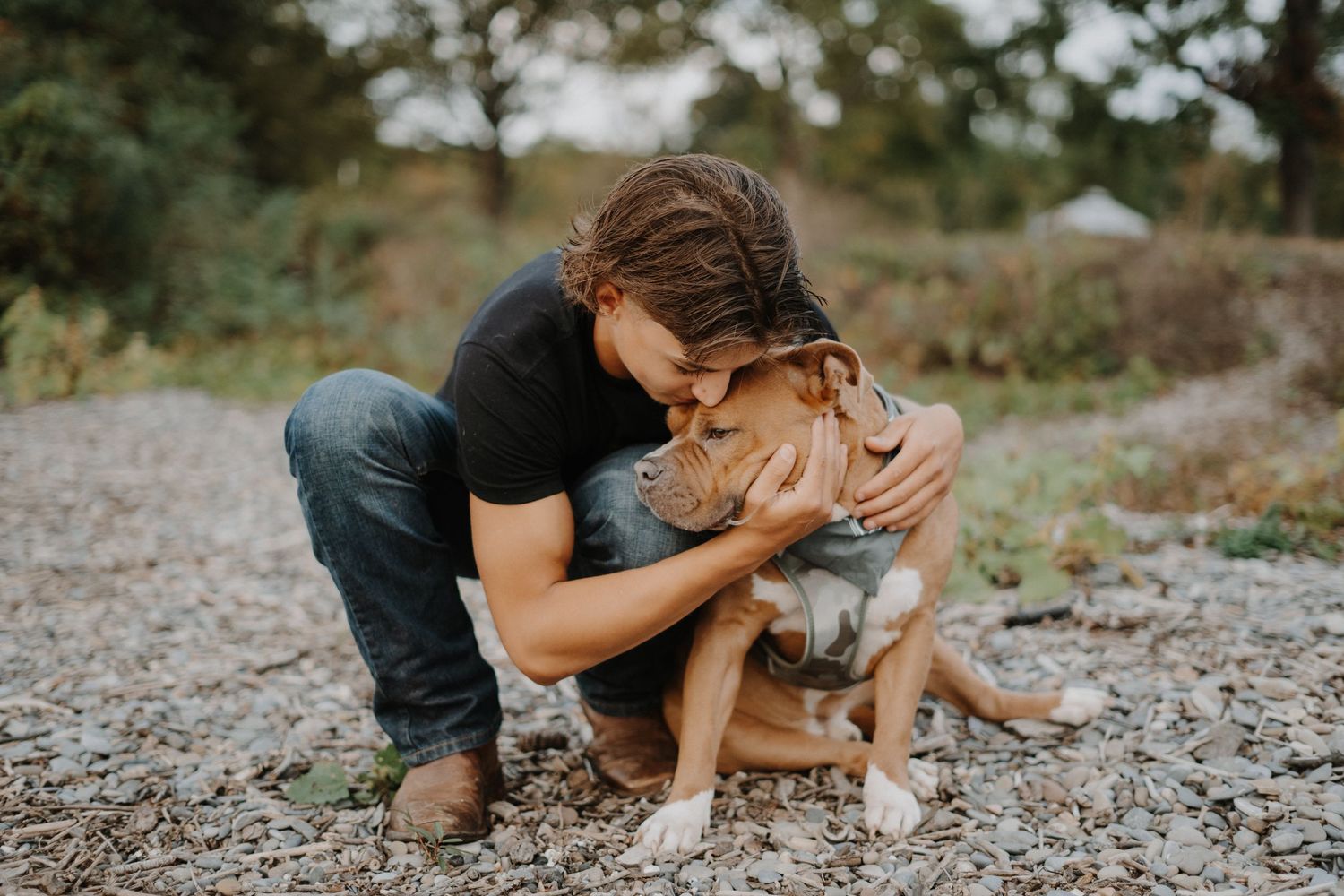 A person in jeans embraces a friendly dog on a rocky trail outdoors.