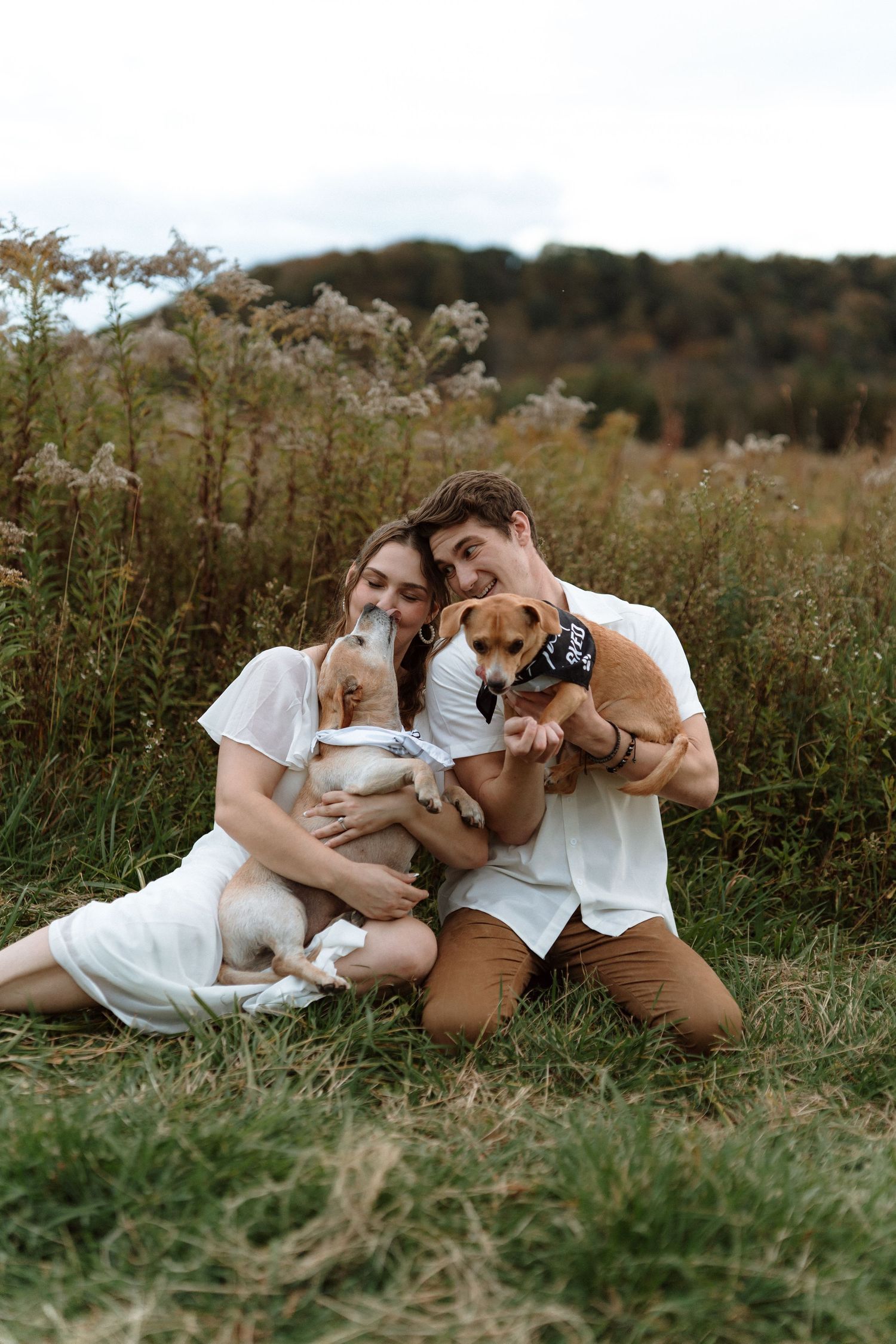 A couple in white clothes sits in a meadow cuddling with their two dogs during an autumn afternoon.