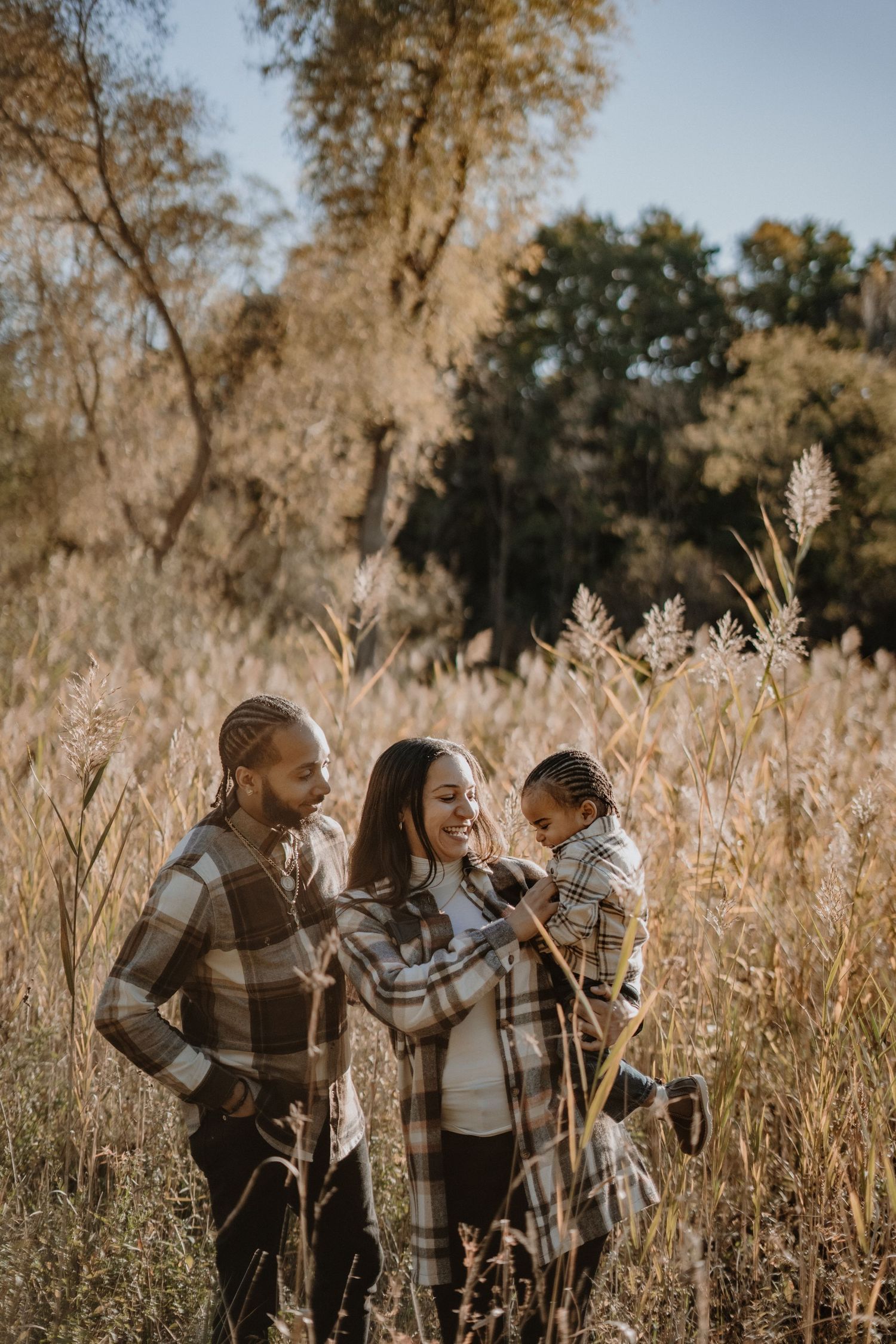 Family wearing matching plaid shirts share tender moments among golden grass during sunset.