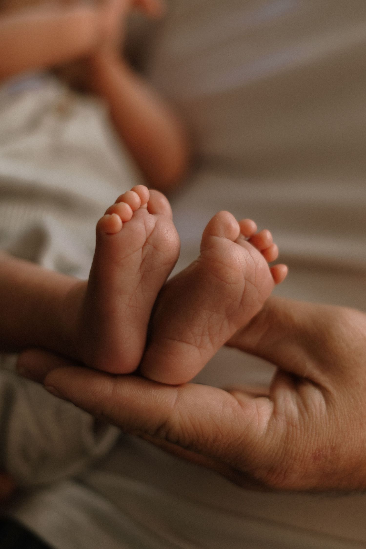 A series of close-up photos showing tiny baby feet resting gently in an adult's caring hands.