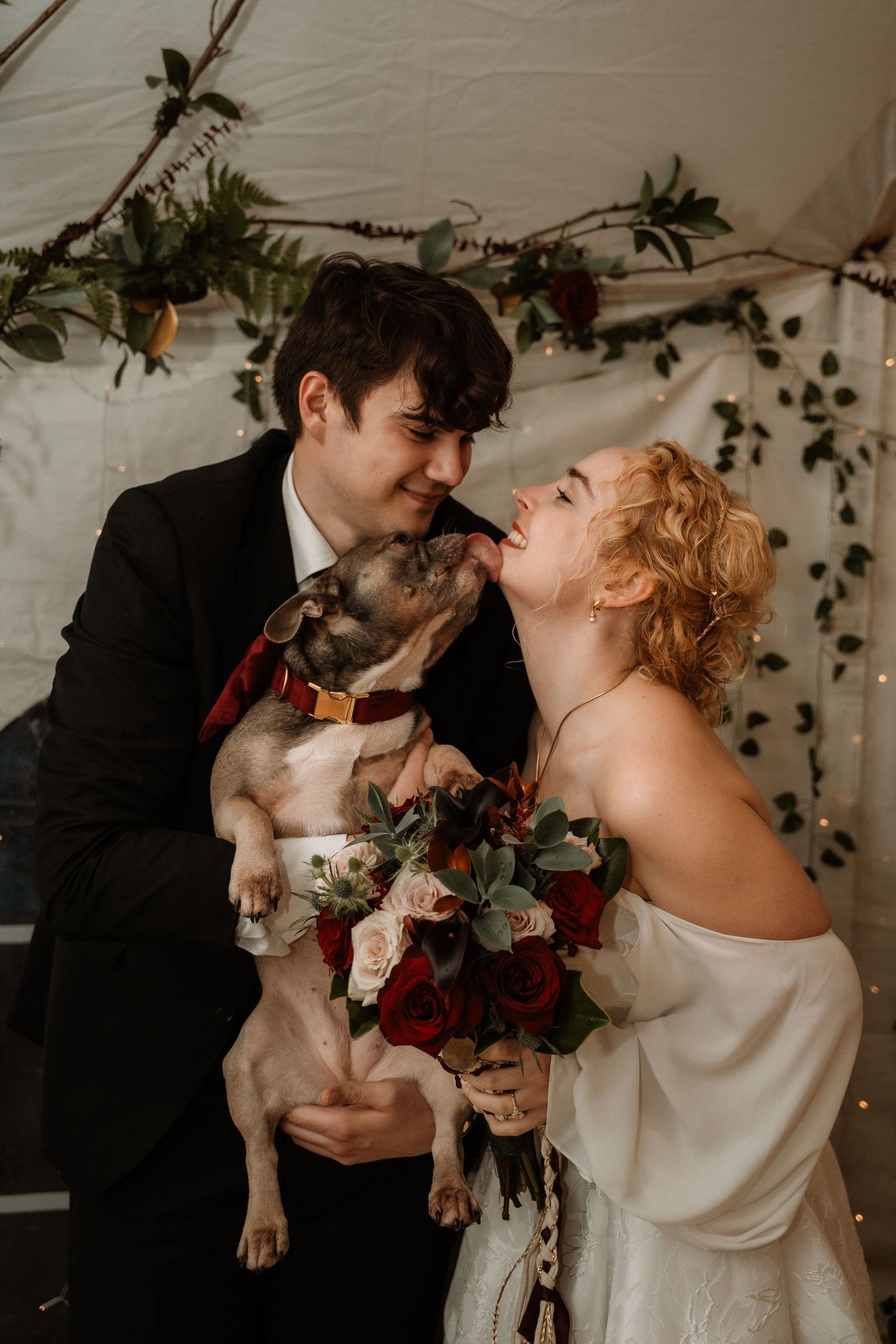 A couple in wedding attire shares intimate moments in a sequence of photos with their dog and floral decorations.
