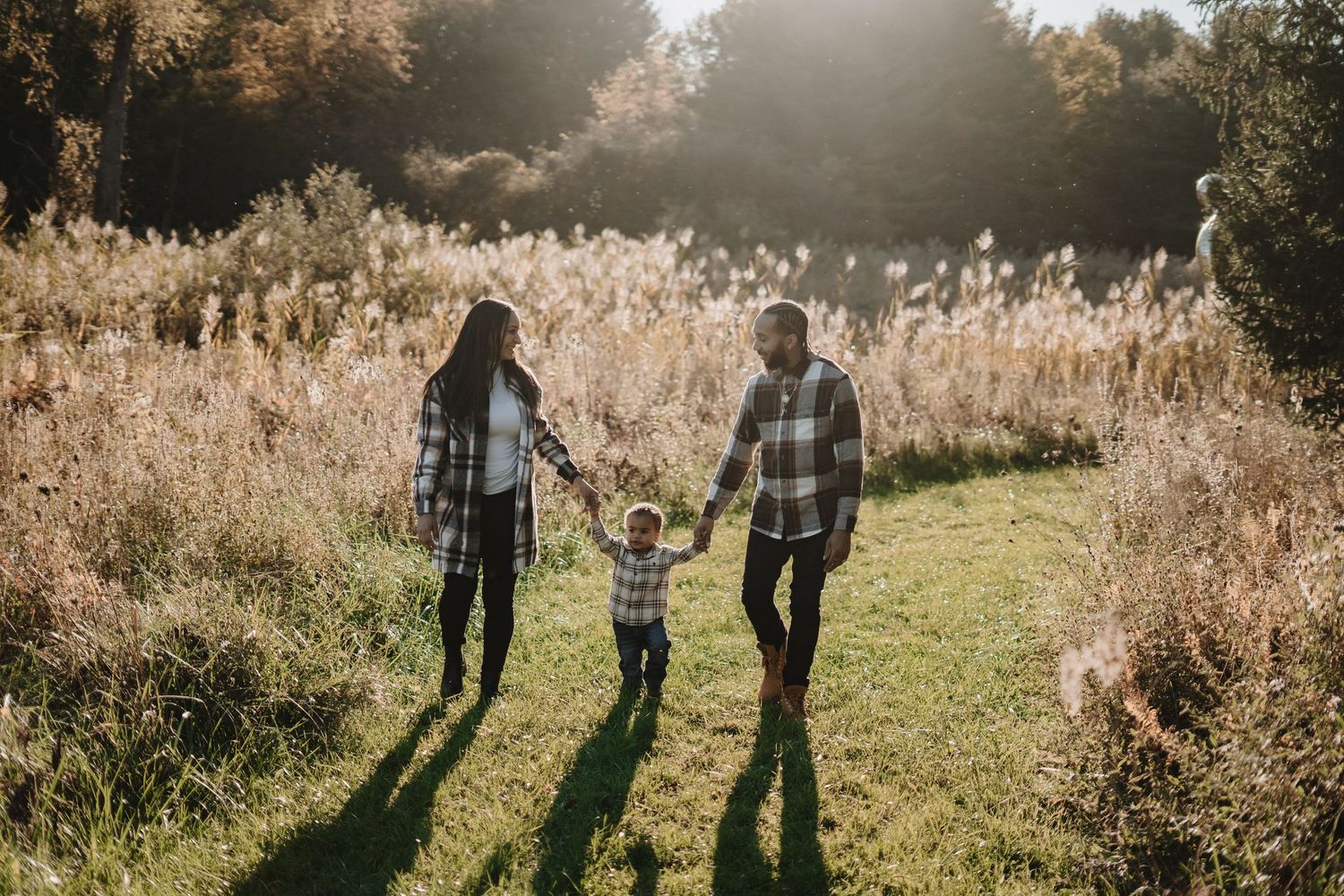 Three silhouettes walking along a sunlit path through tall grass and trees.