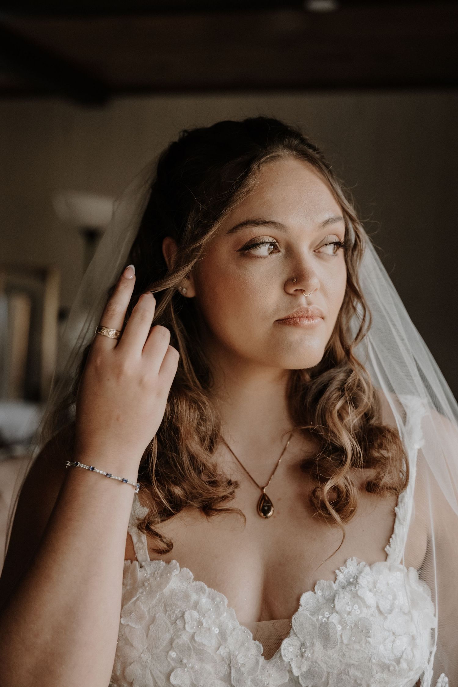 Wedding portrait showing detailed lace dress, jewelry, and bridal veil.