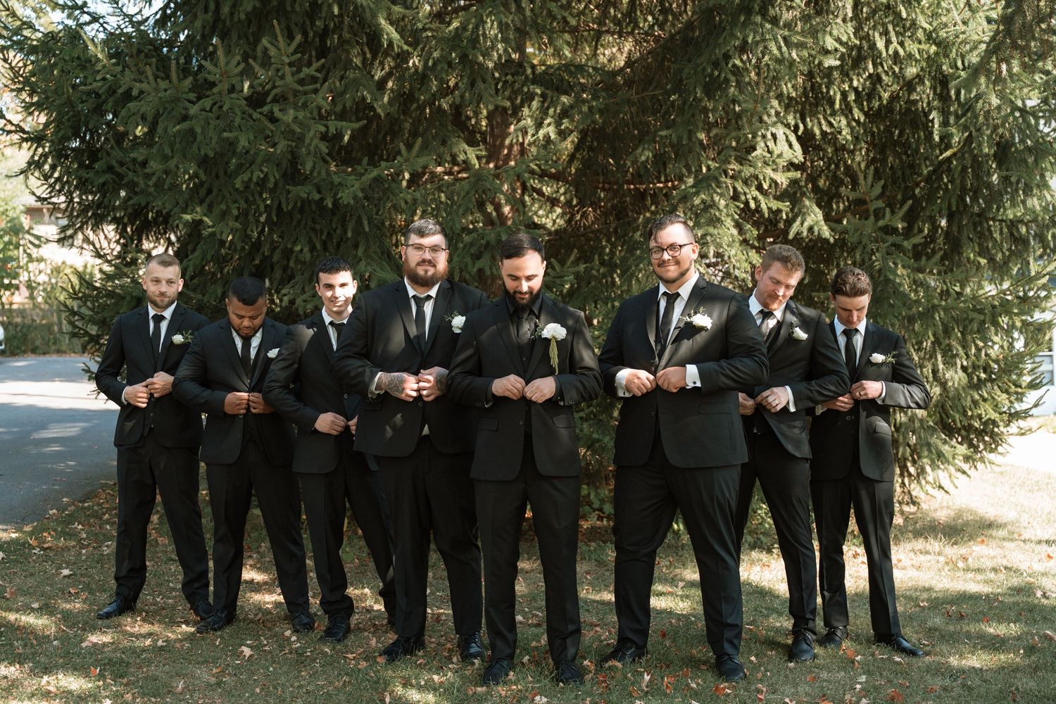 Wedding party in black suits poses together outdoors under evergreen trees on a sunny day.