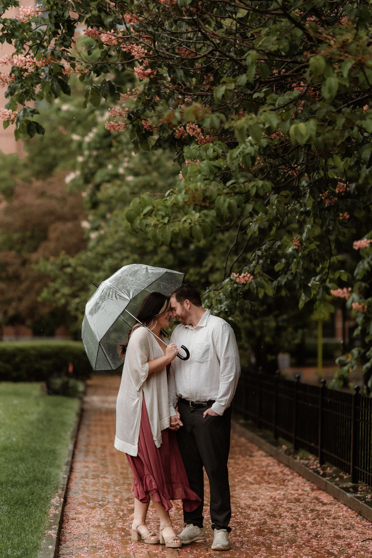 Romantic couple sharing an intimate moment under a clear umbrella on a rainy garden path surrounded by lush green trees.