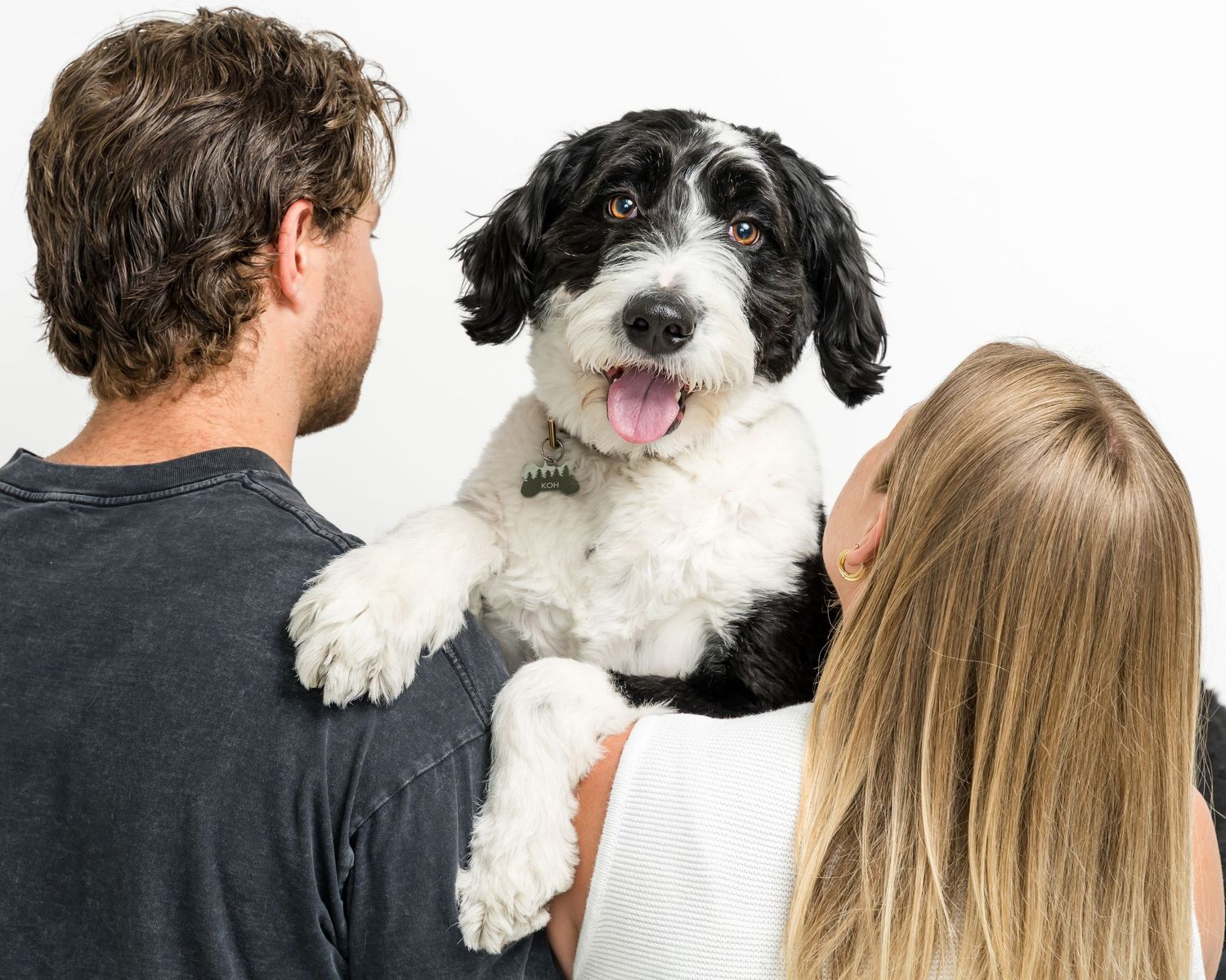 Couple holding a happy black and white Shih Tzu mix dog with tongue out against white background.