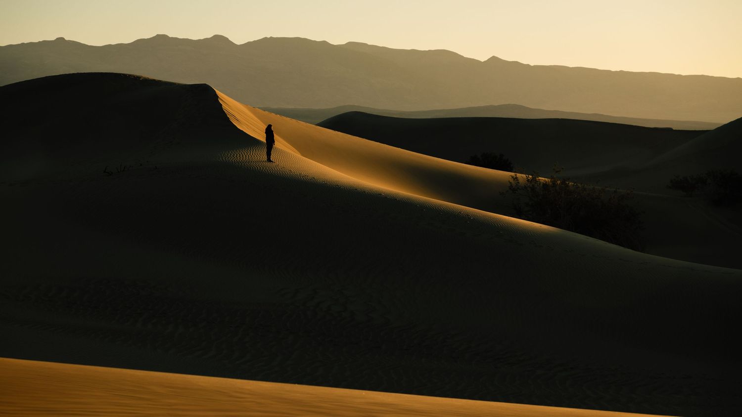Panoramic view of desert sand dunes at sunset with golden light on ridges.