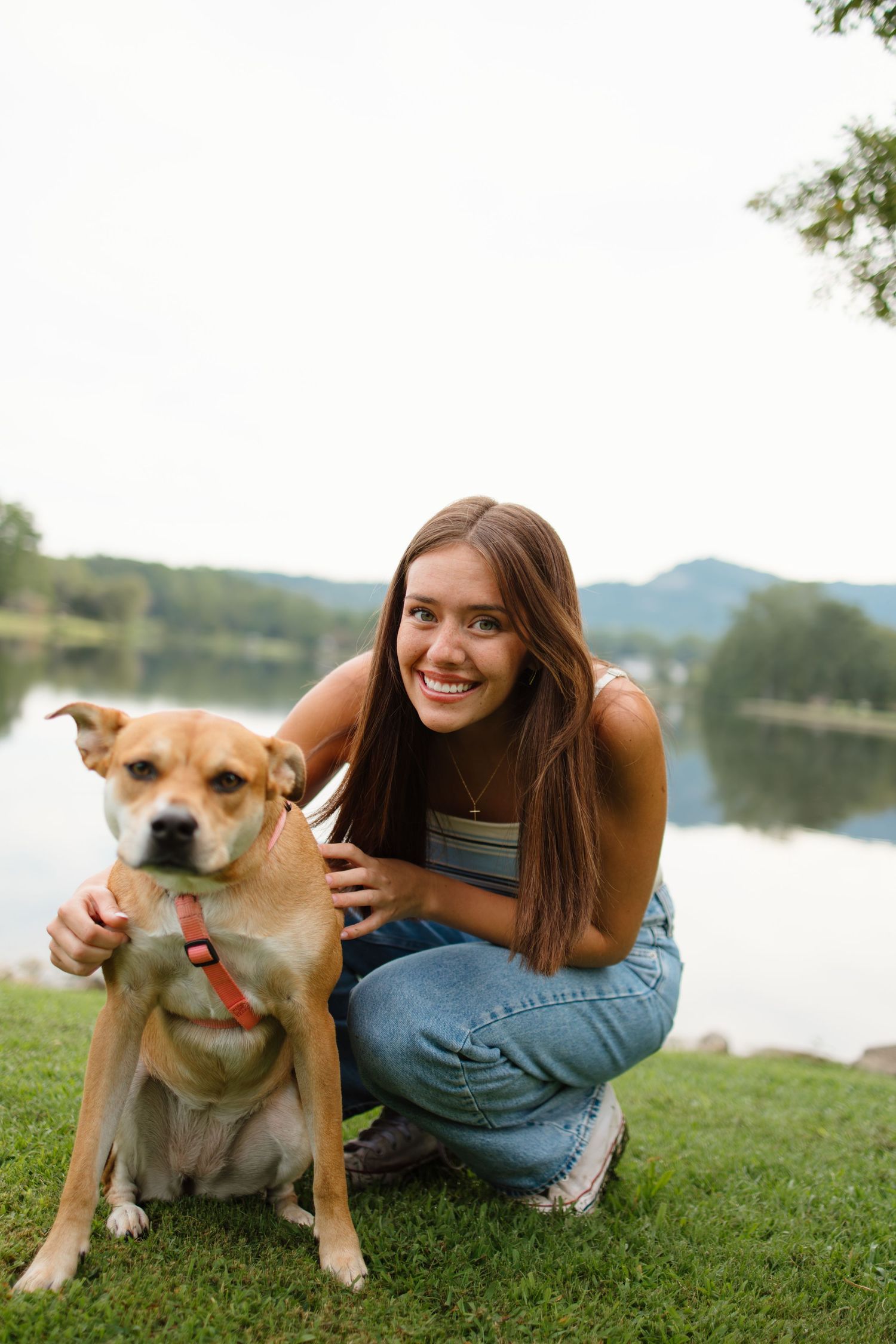 Playful tan dog lying on grass by lake with mountains in background.